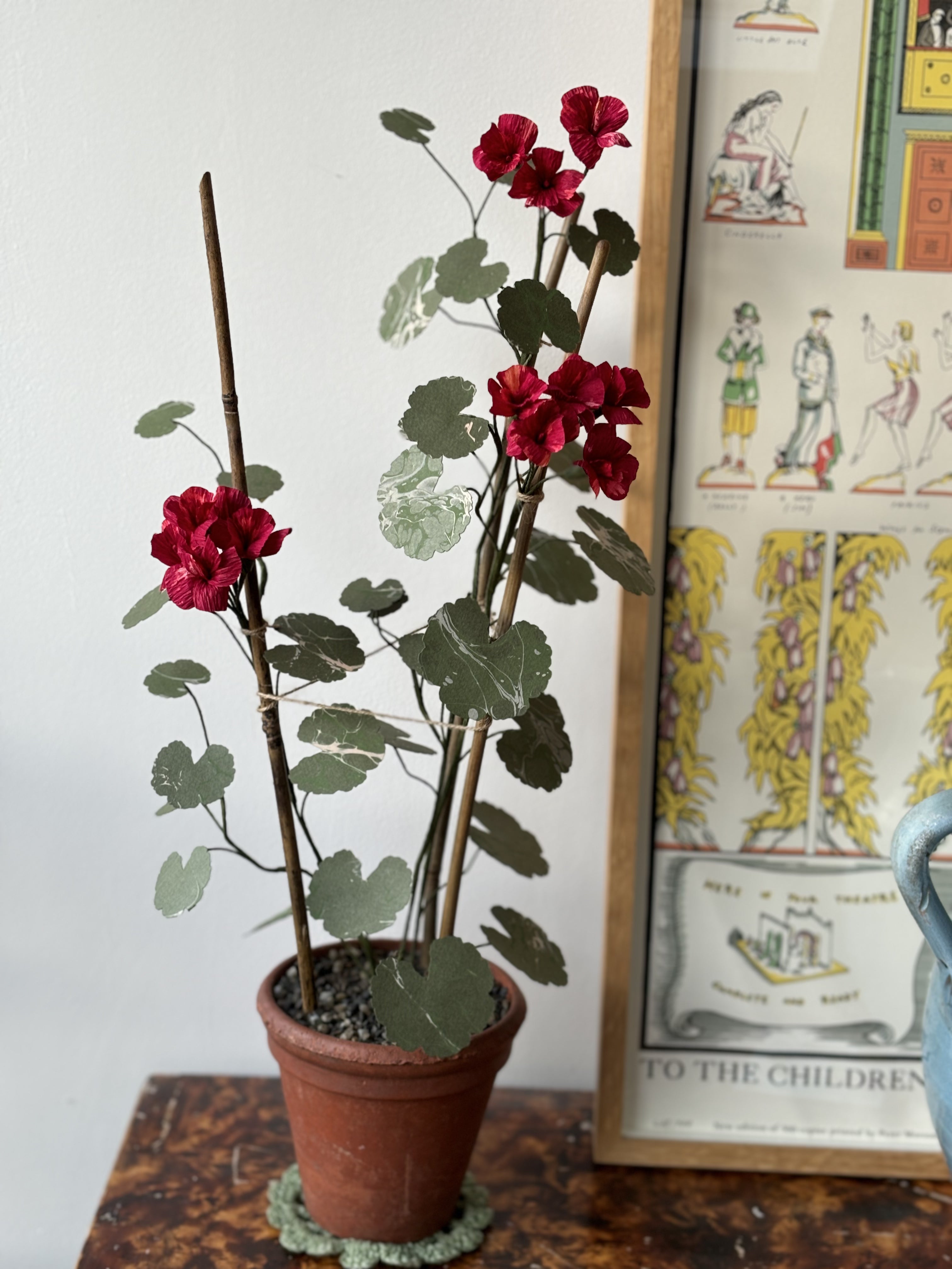 Paper Geranium