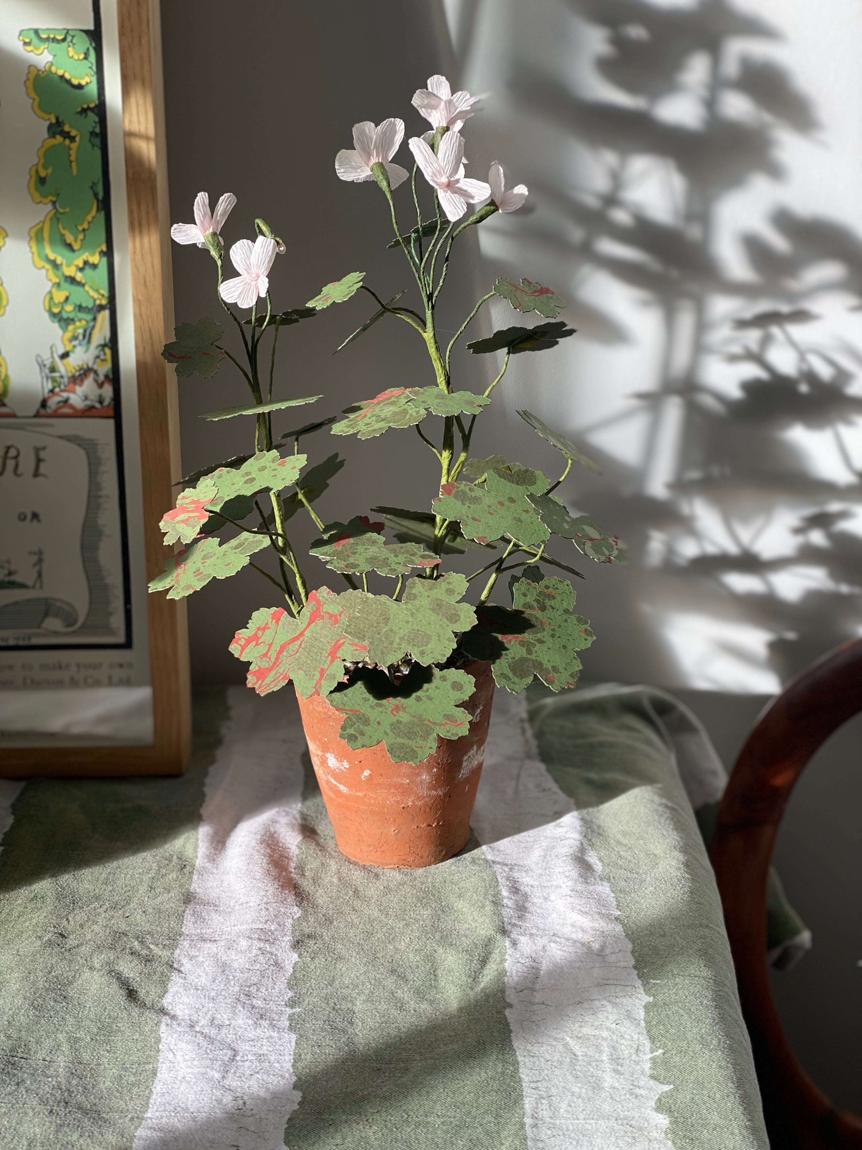 Paper Geranium