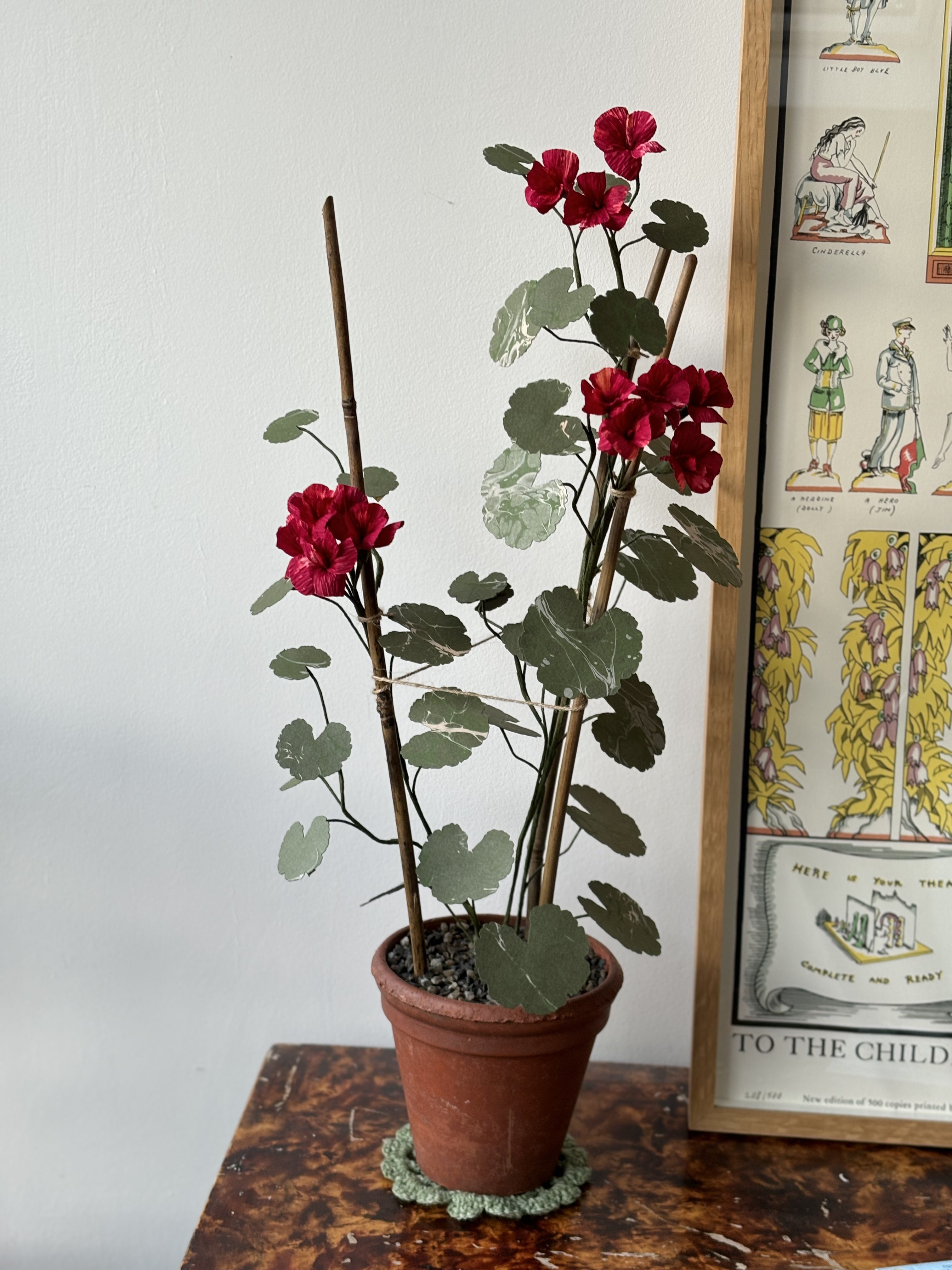 Paper Geranium