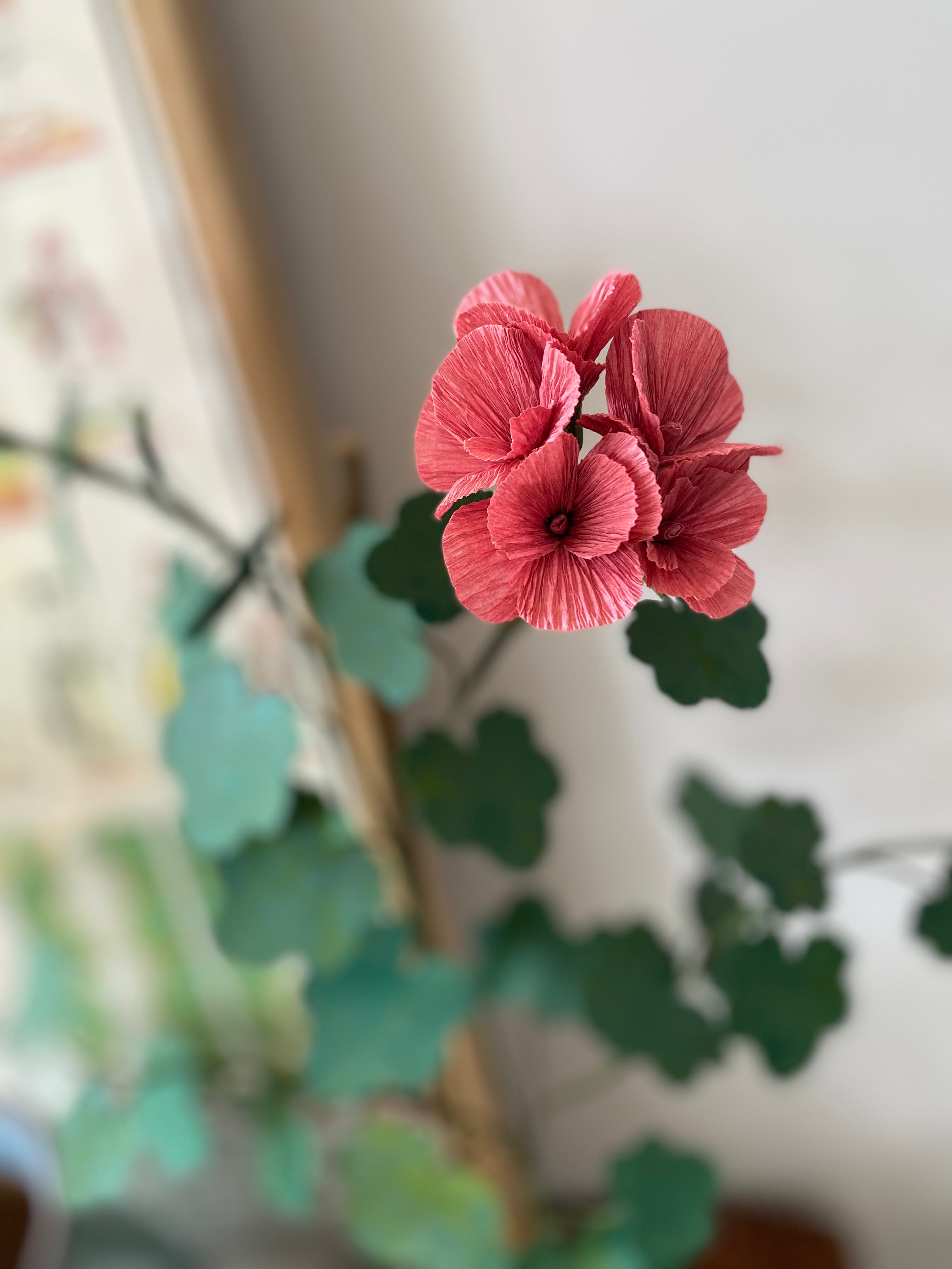 Paper Geranium