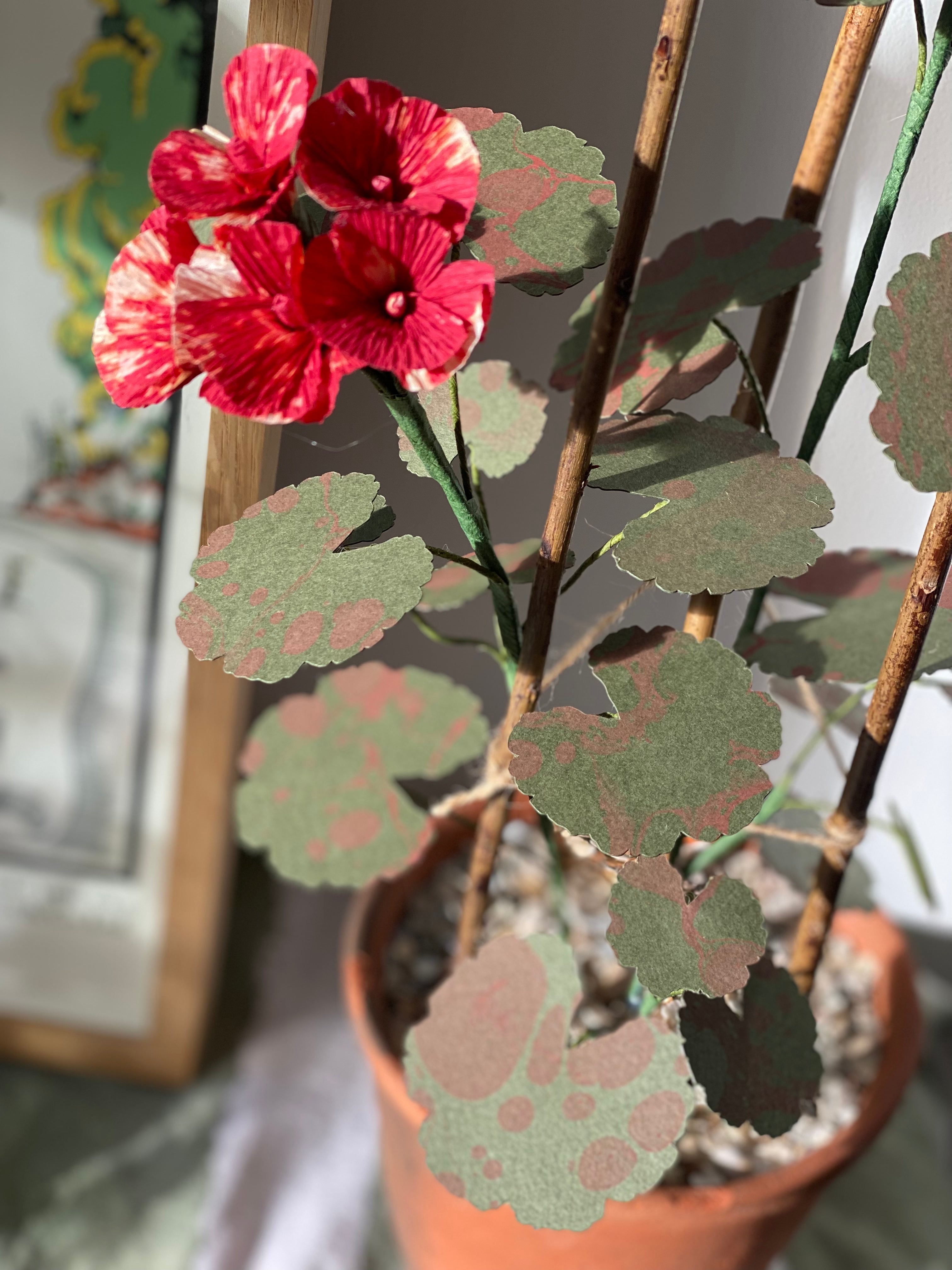 Paper Geranium