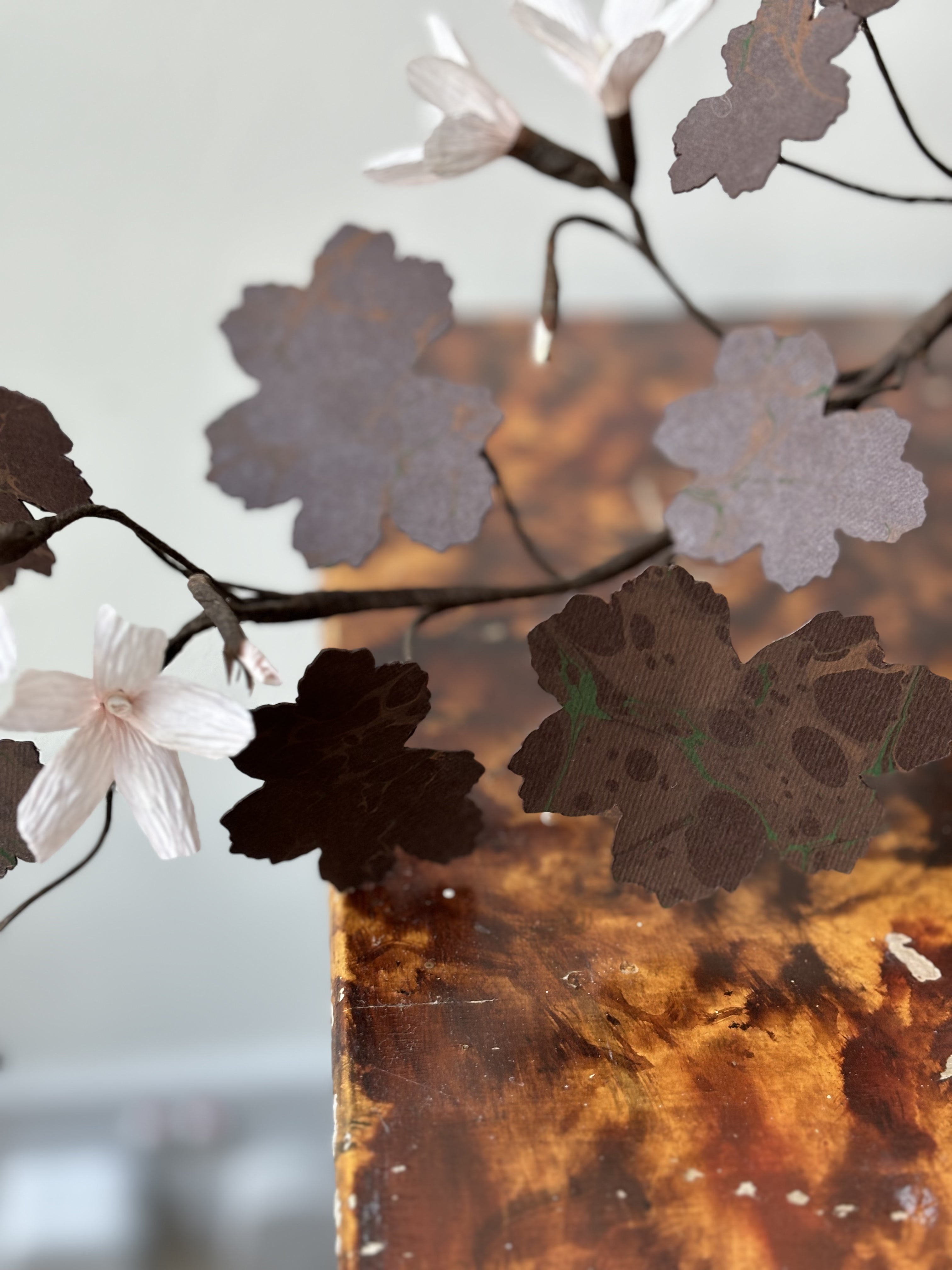 Paper Geranium