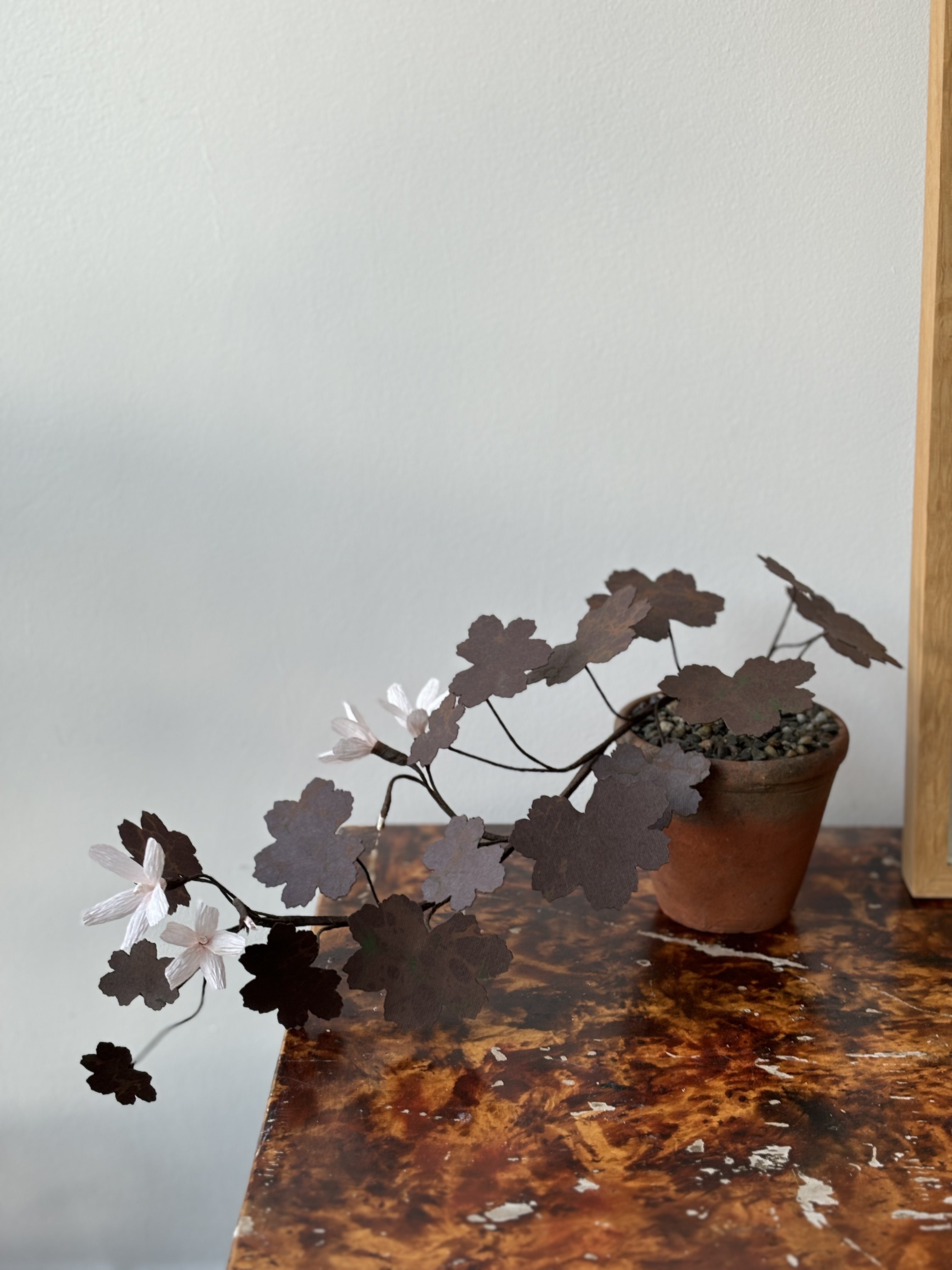 Paper Geranium