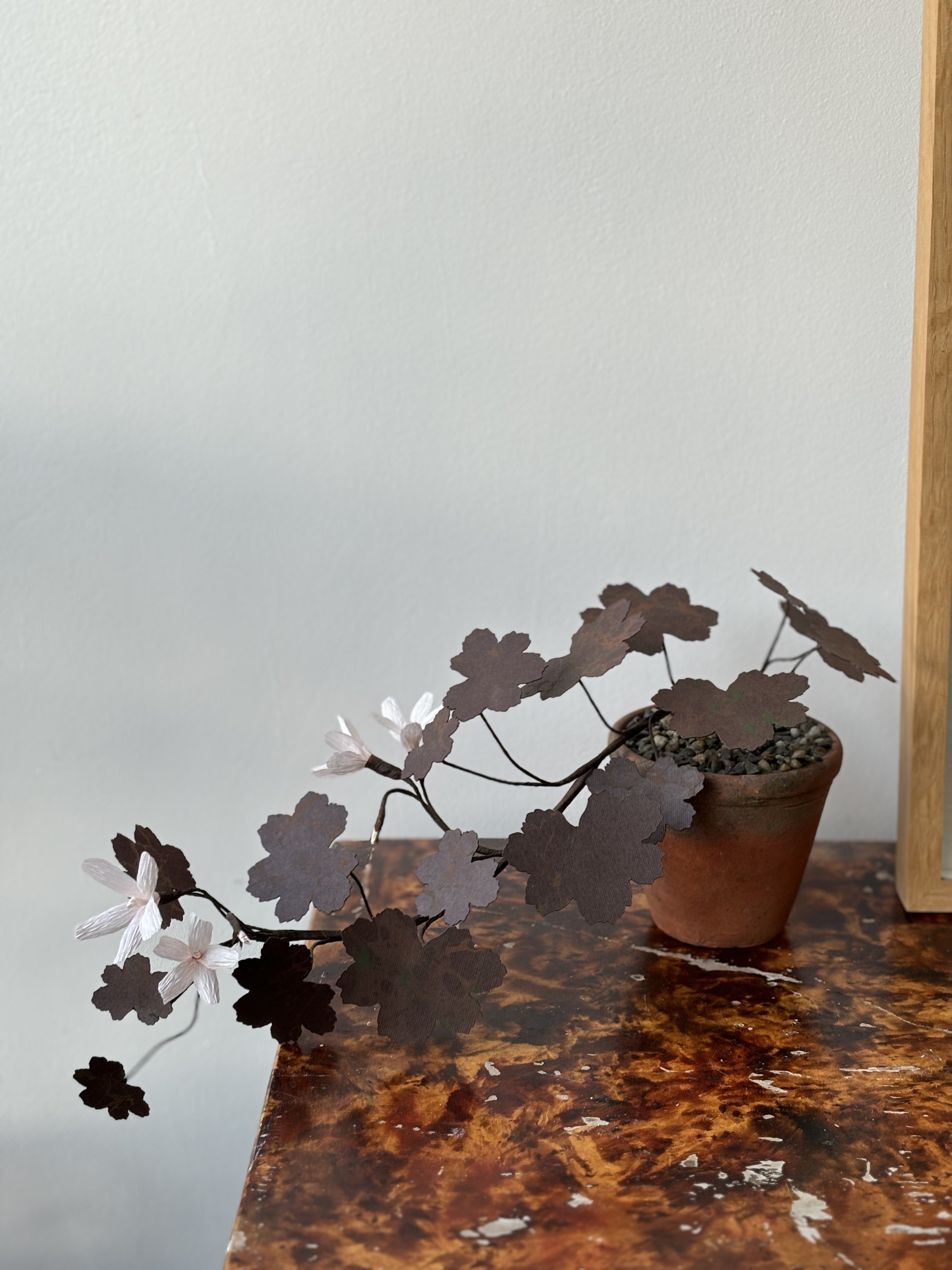 Paper Geranium