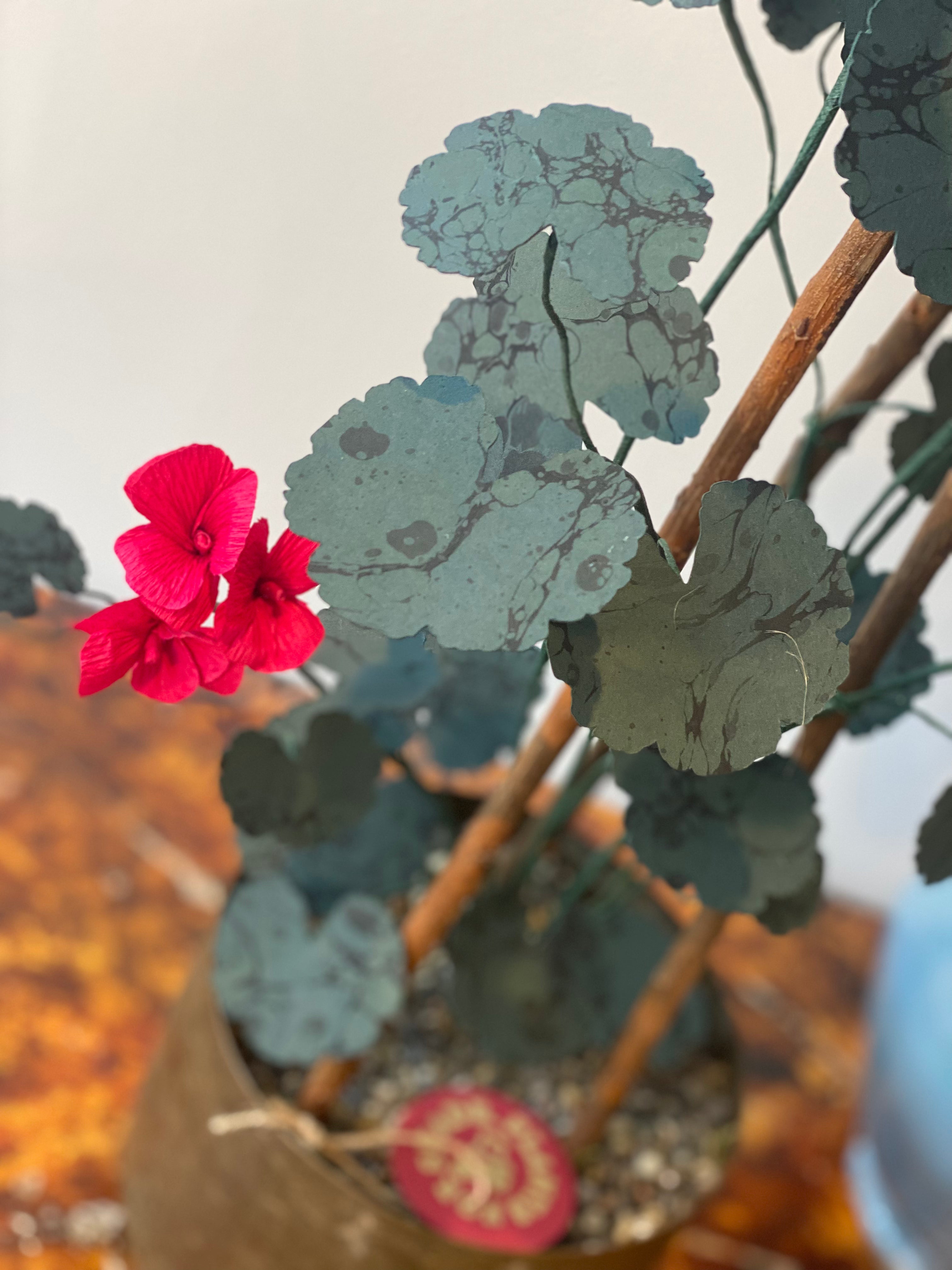Paper Geranium COLLECTION or LONDON courier only