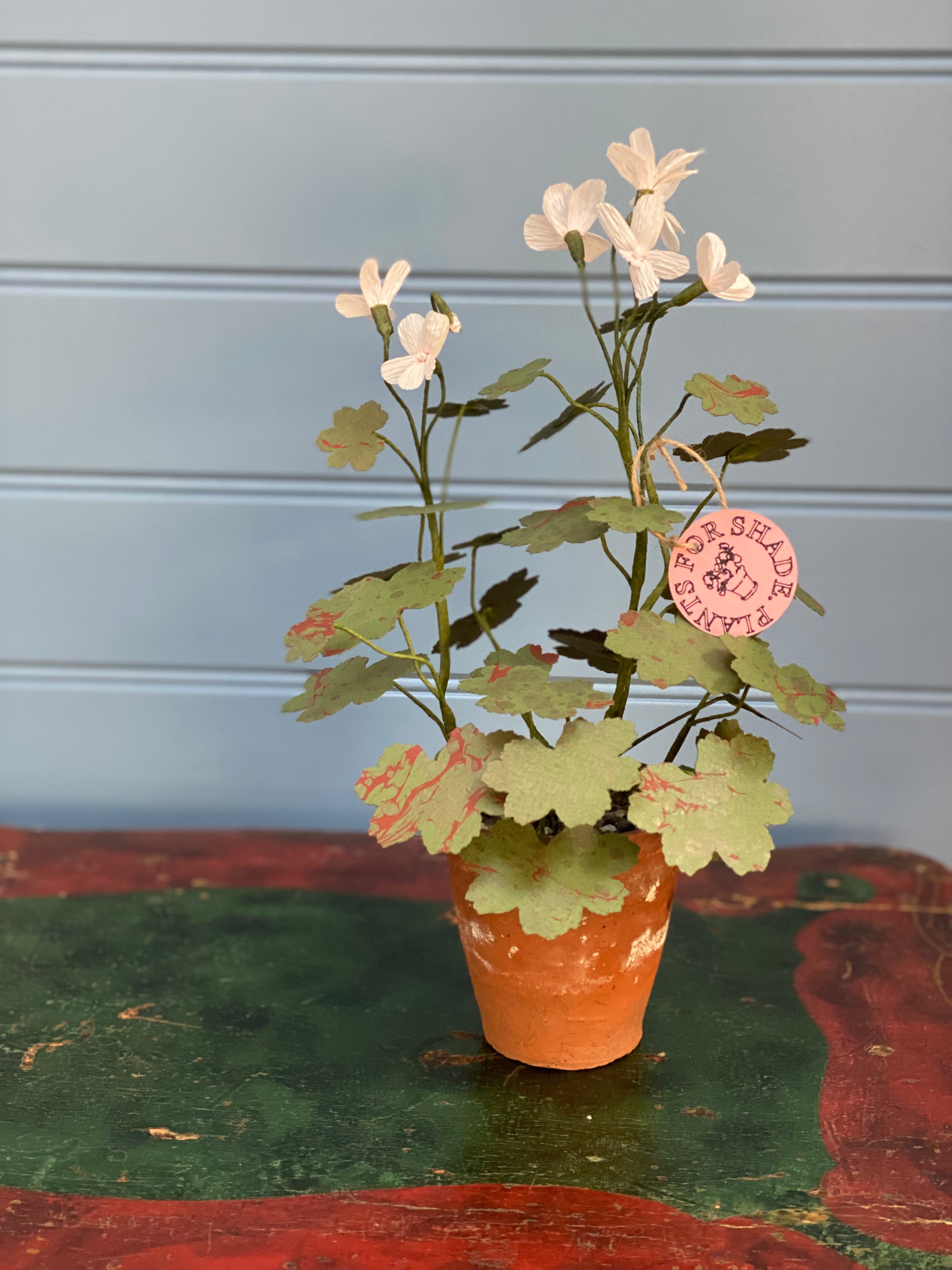 Paper Geranium