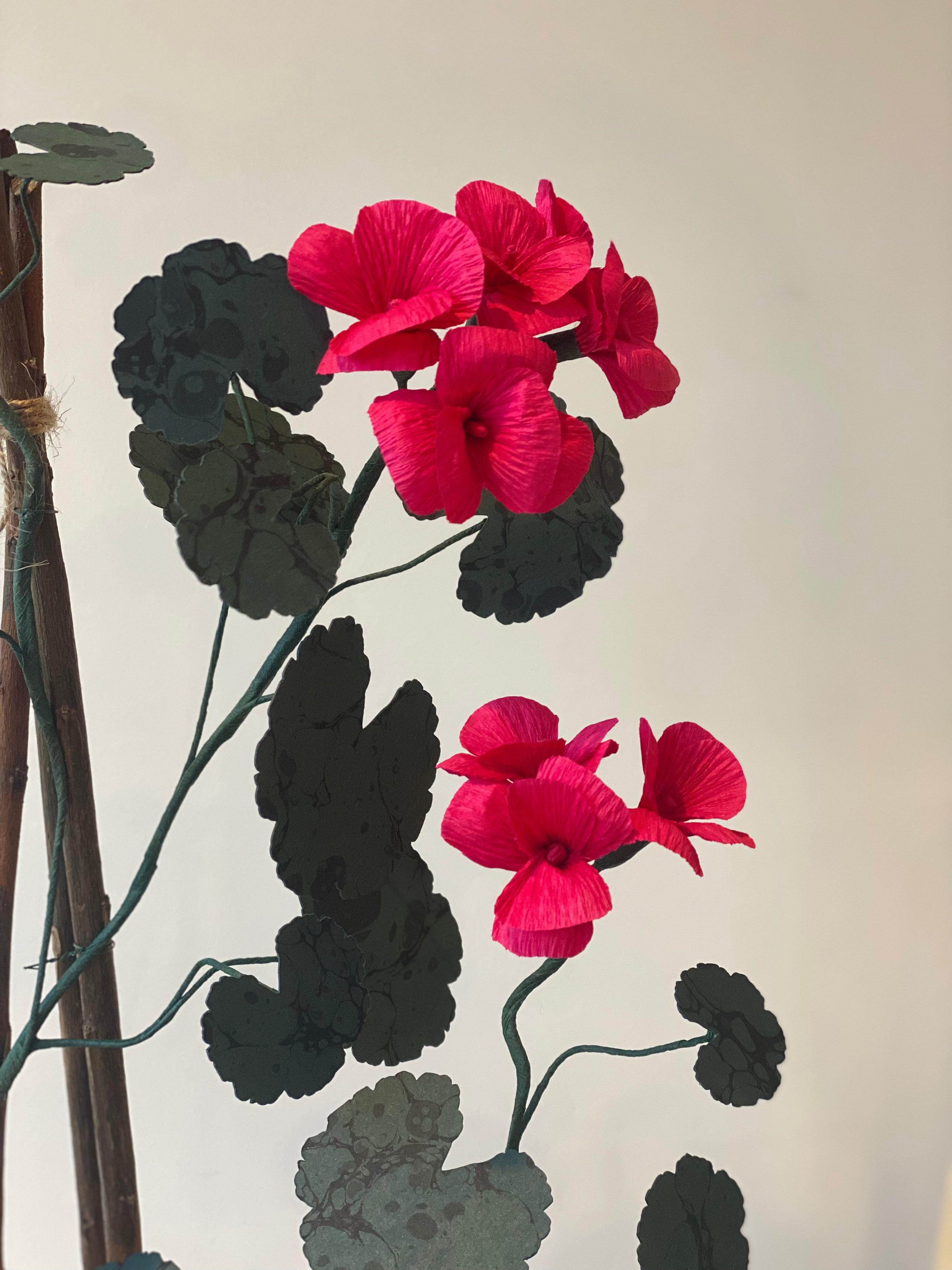 Paper Geranium COLLECTION or LONDON courier only