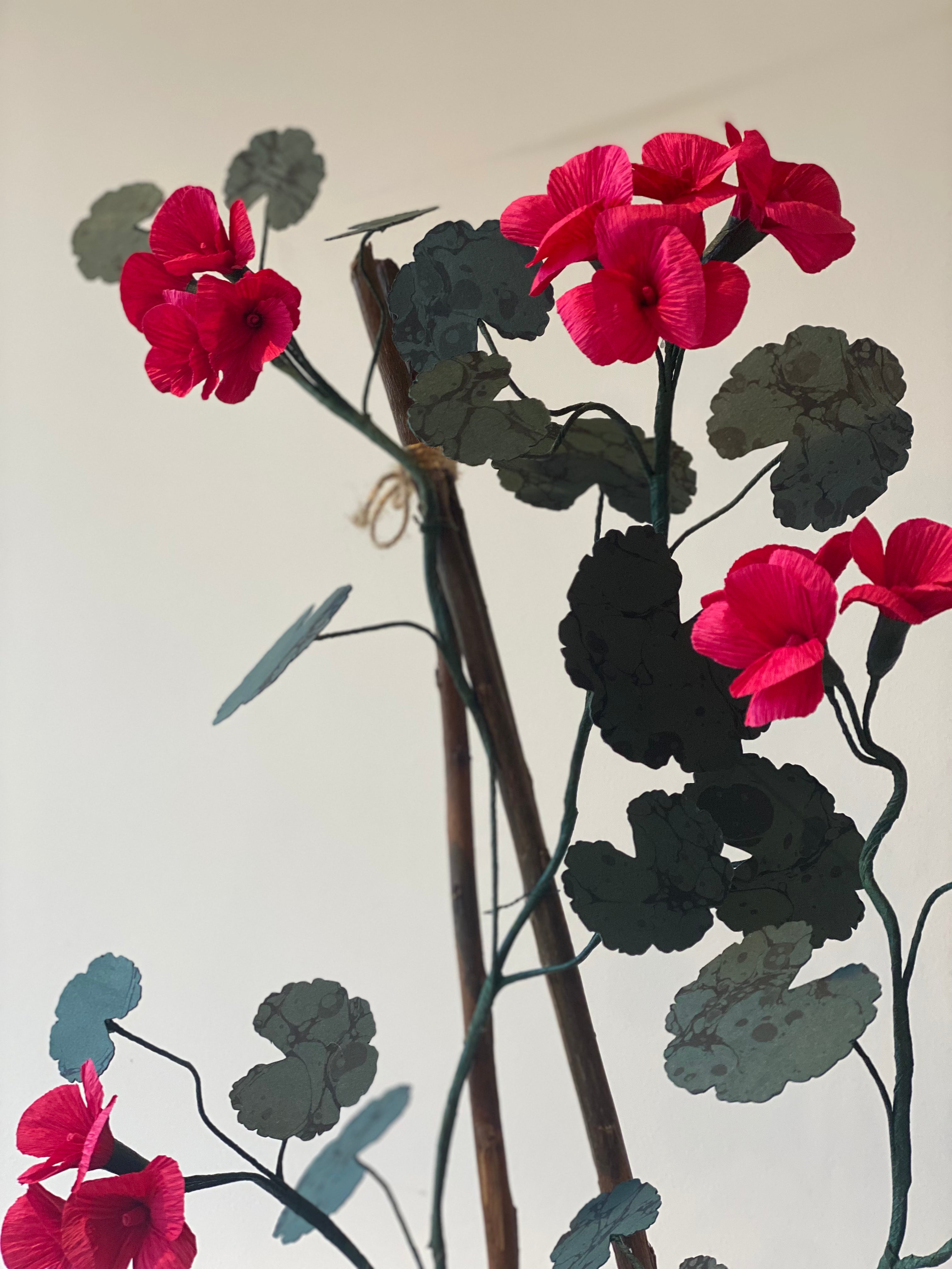Paper Geranium COLLECTION or LONDON courier only