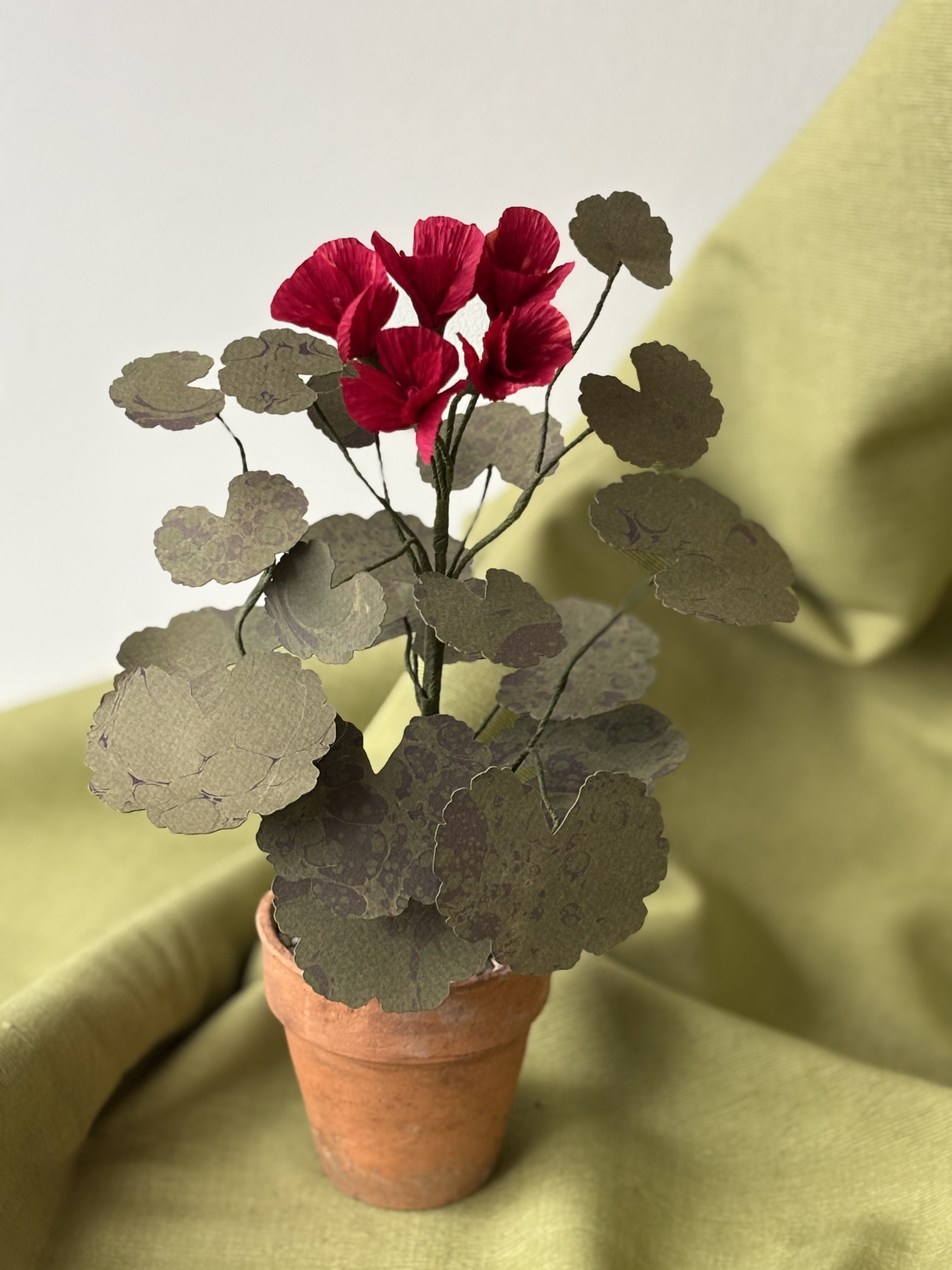 Paper Geranium