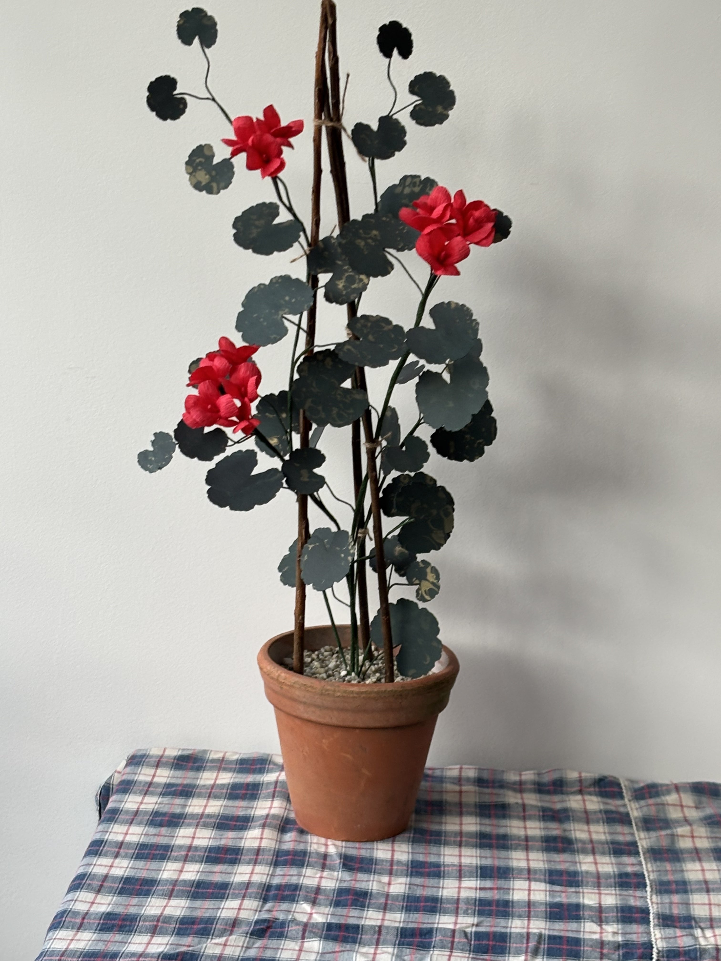 Paper Geranium