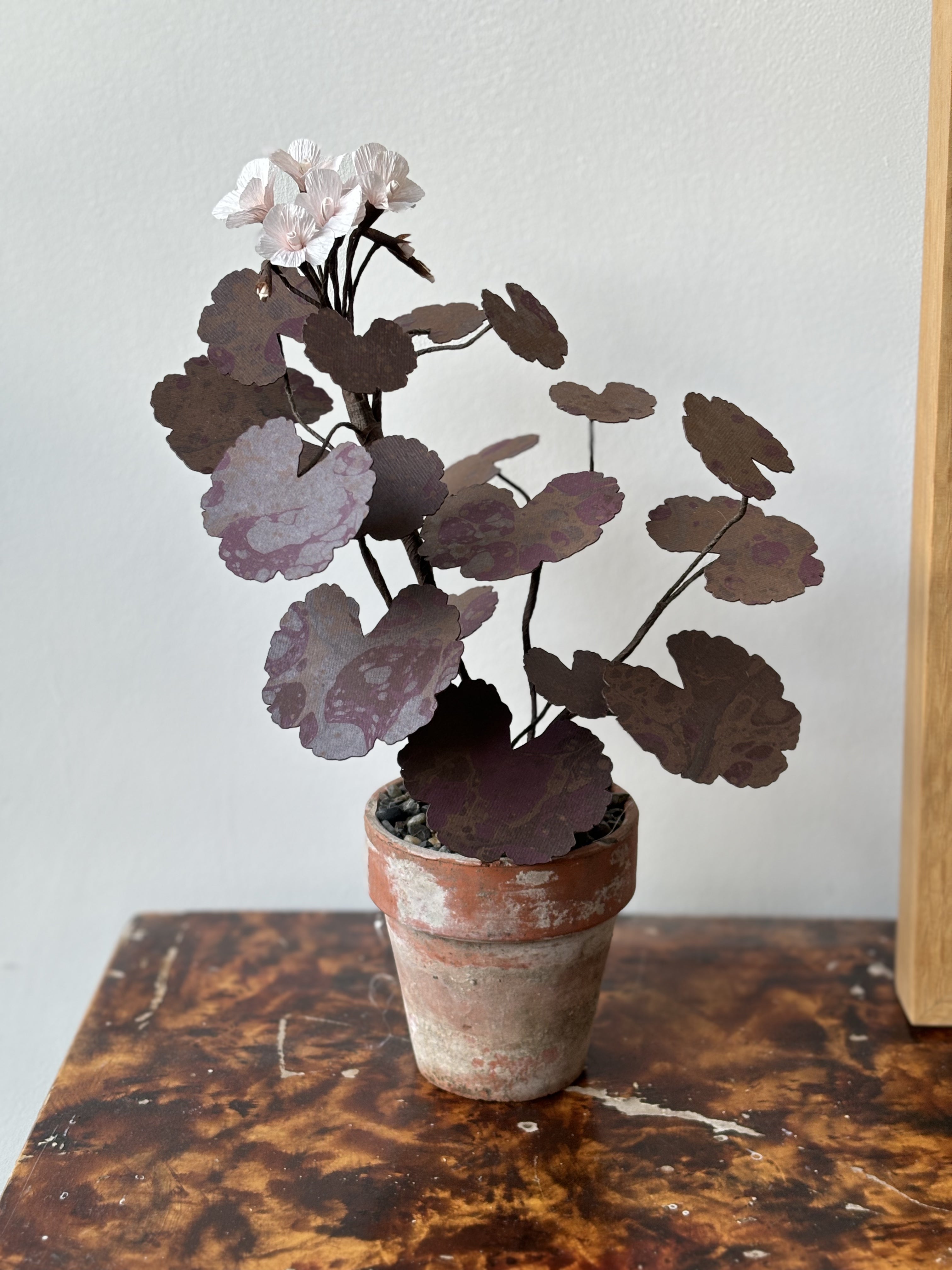 Paper Geranium