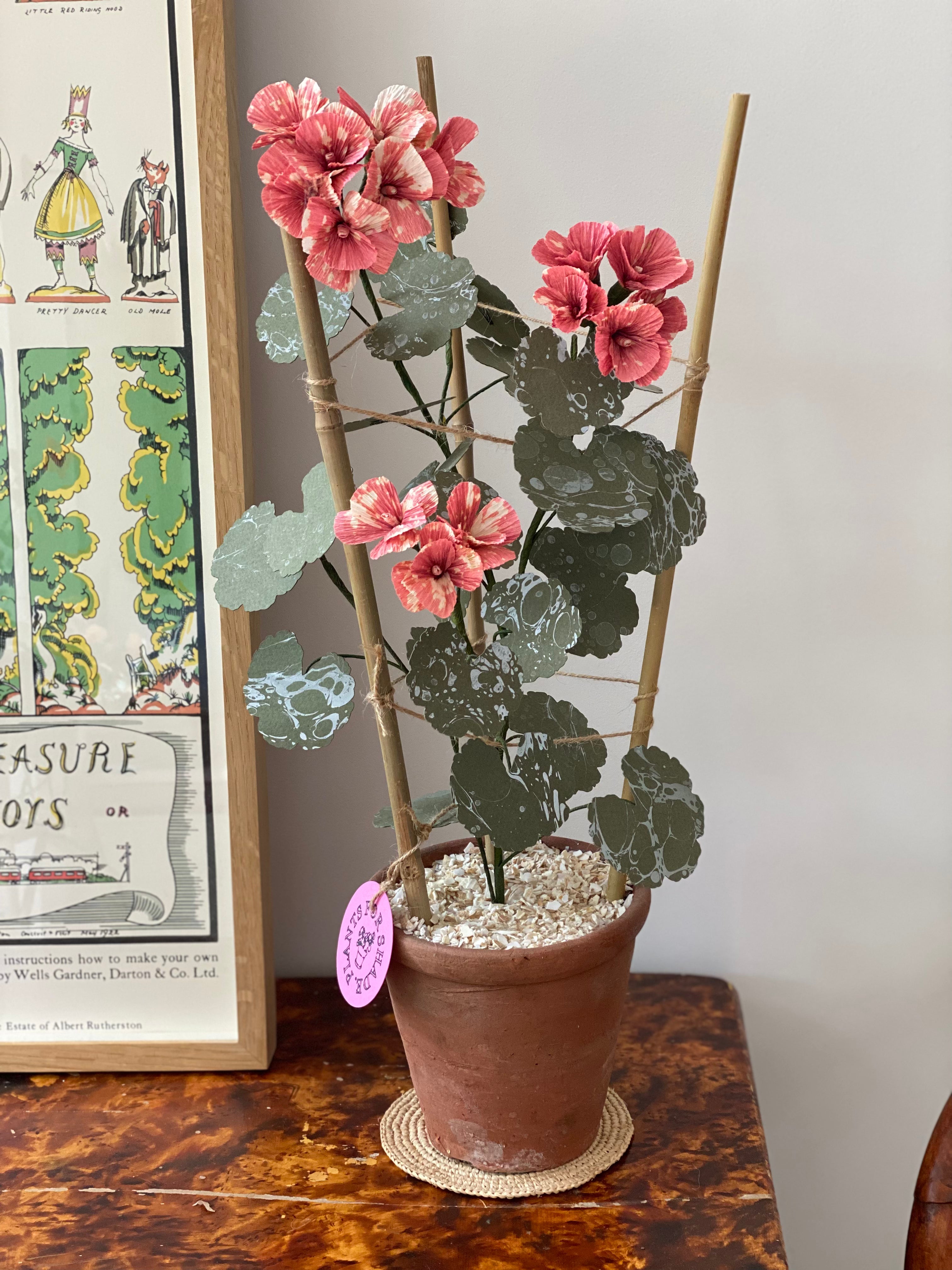 Paper Geranium