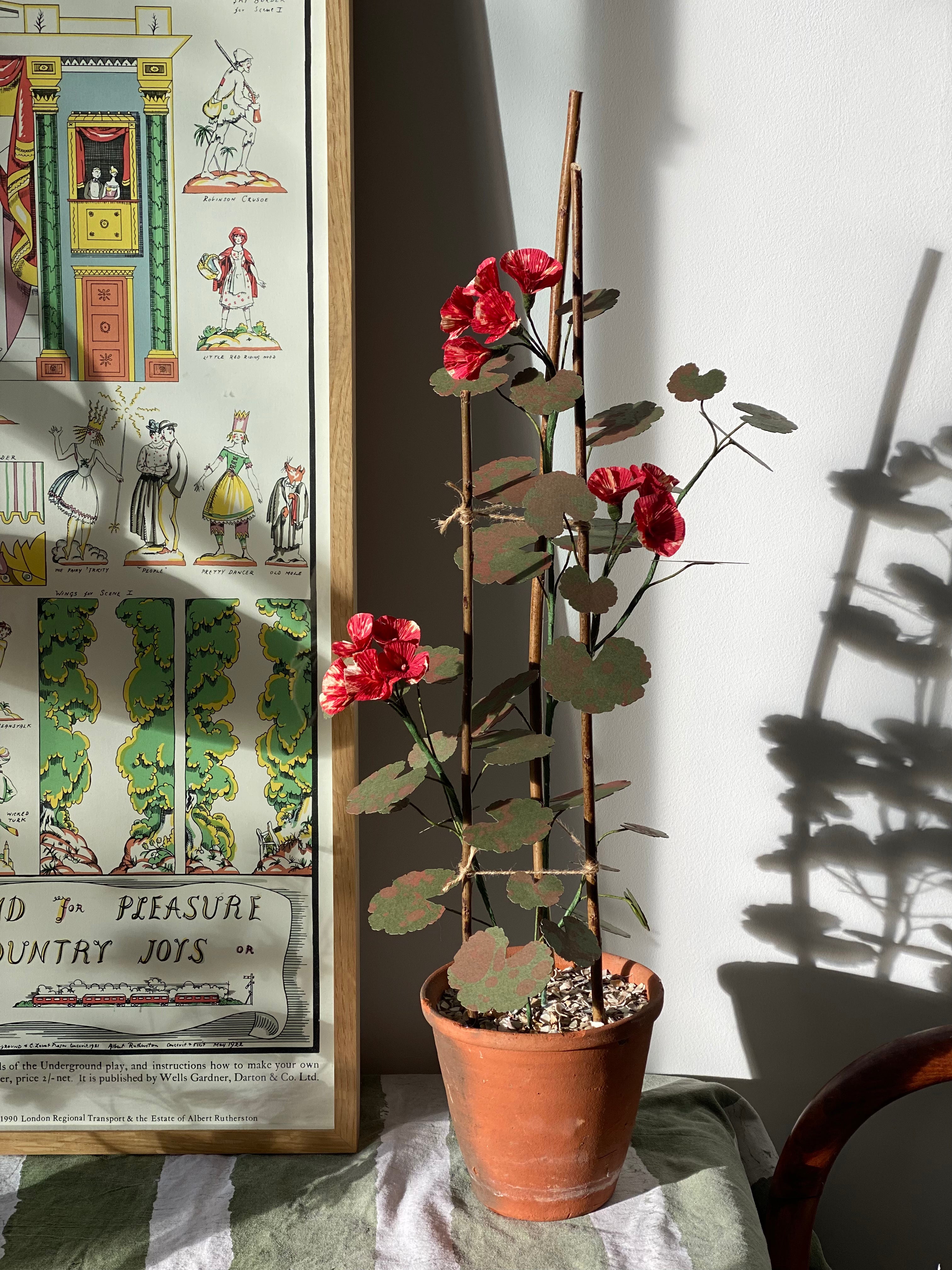 Paper Geranium