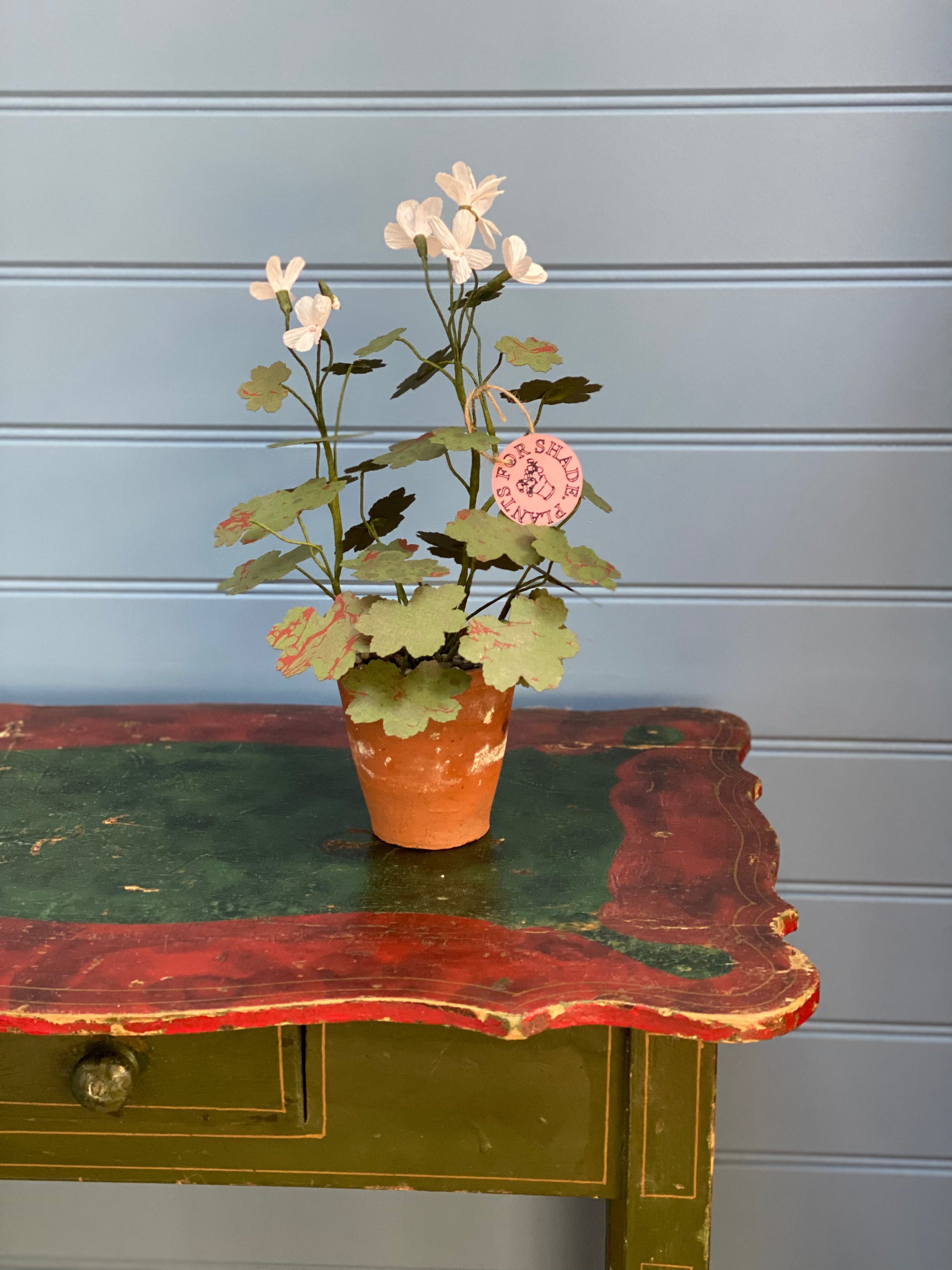 Paper Geranium
