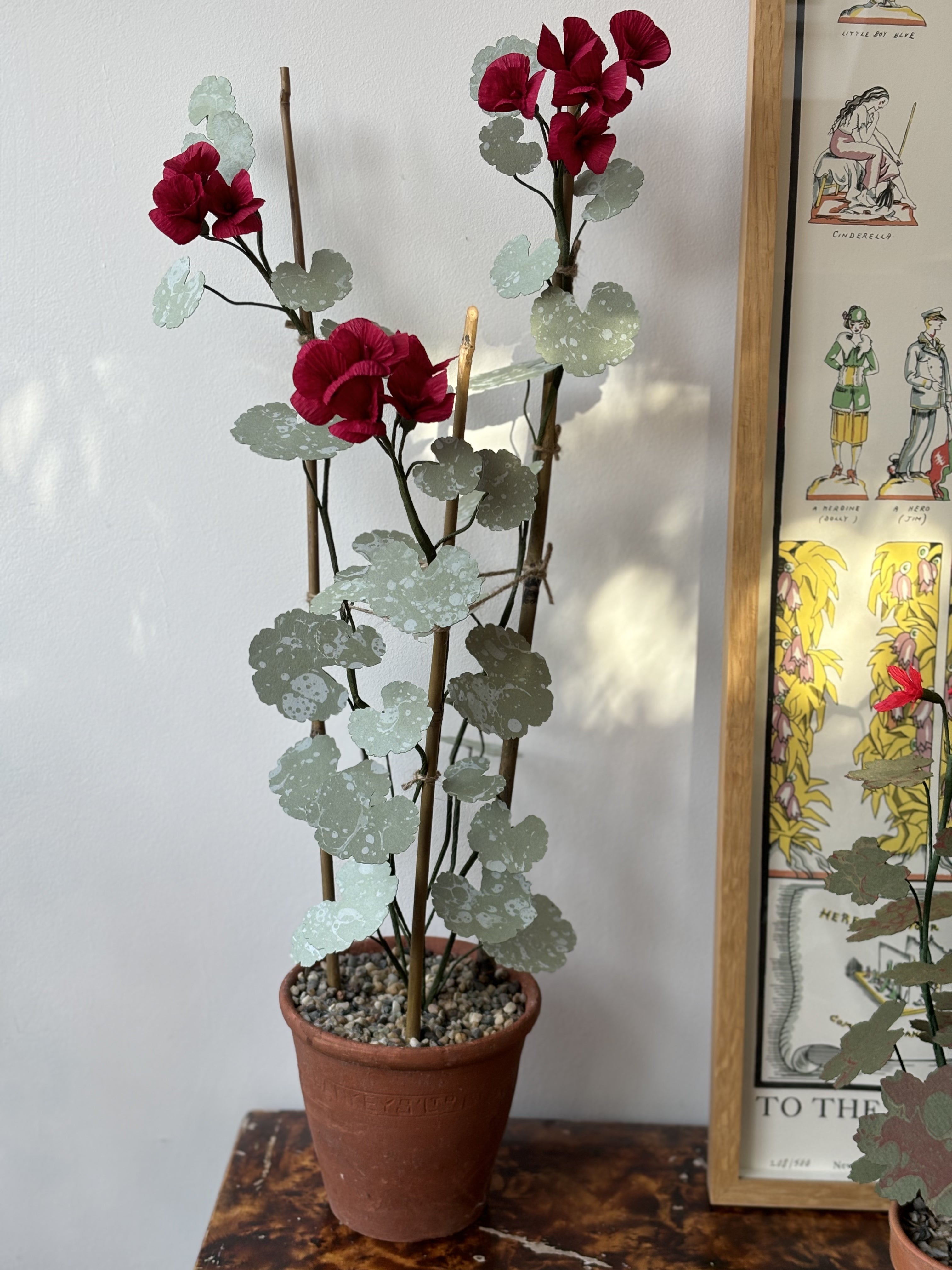 Paper Geranium