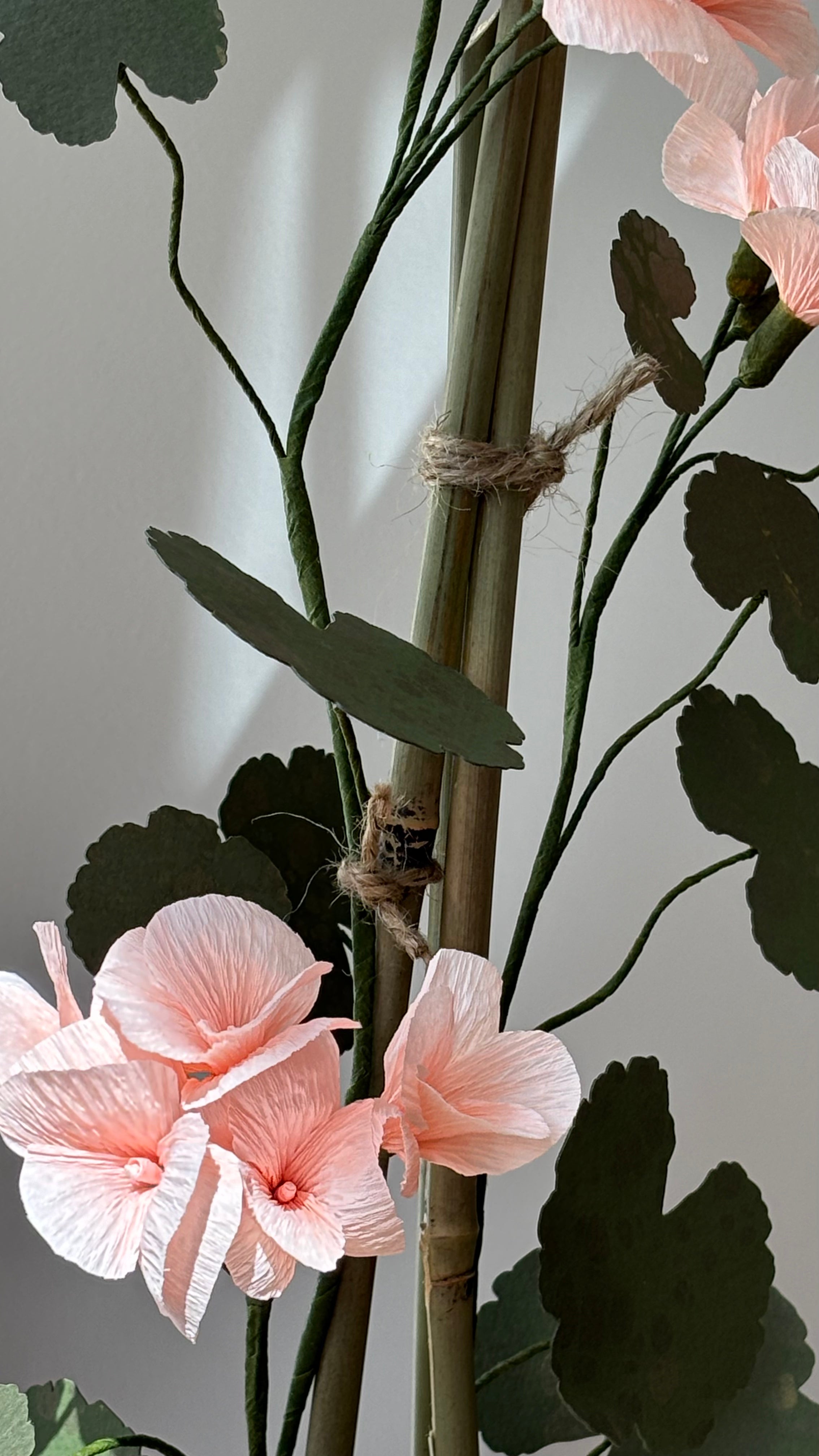Geranium