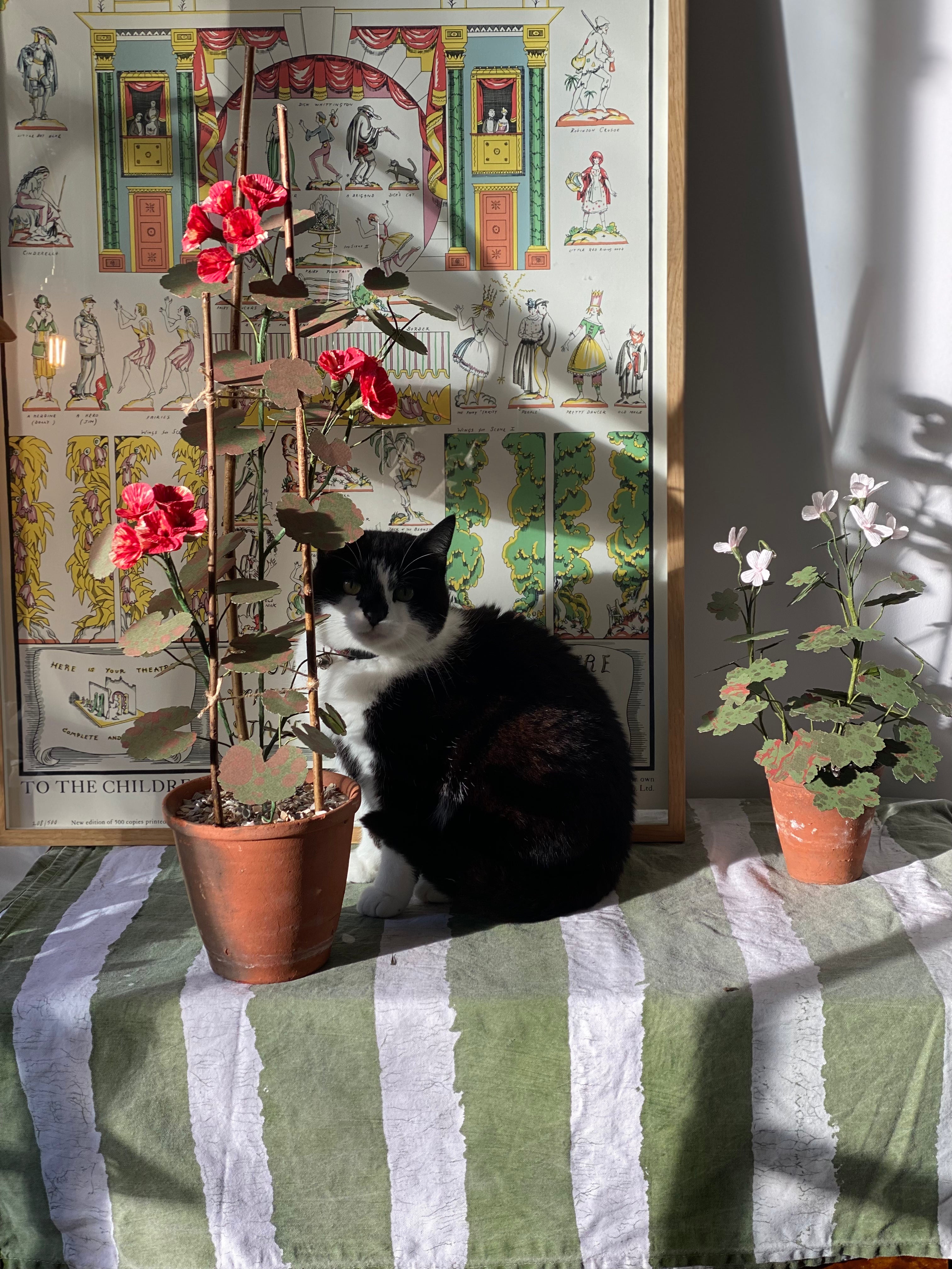 Paper Geranium