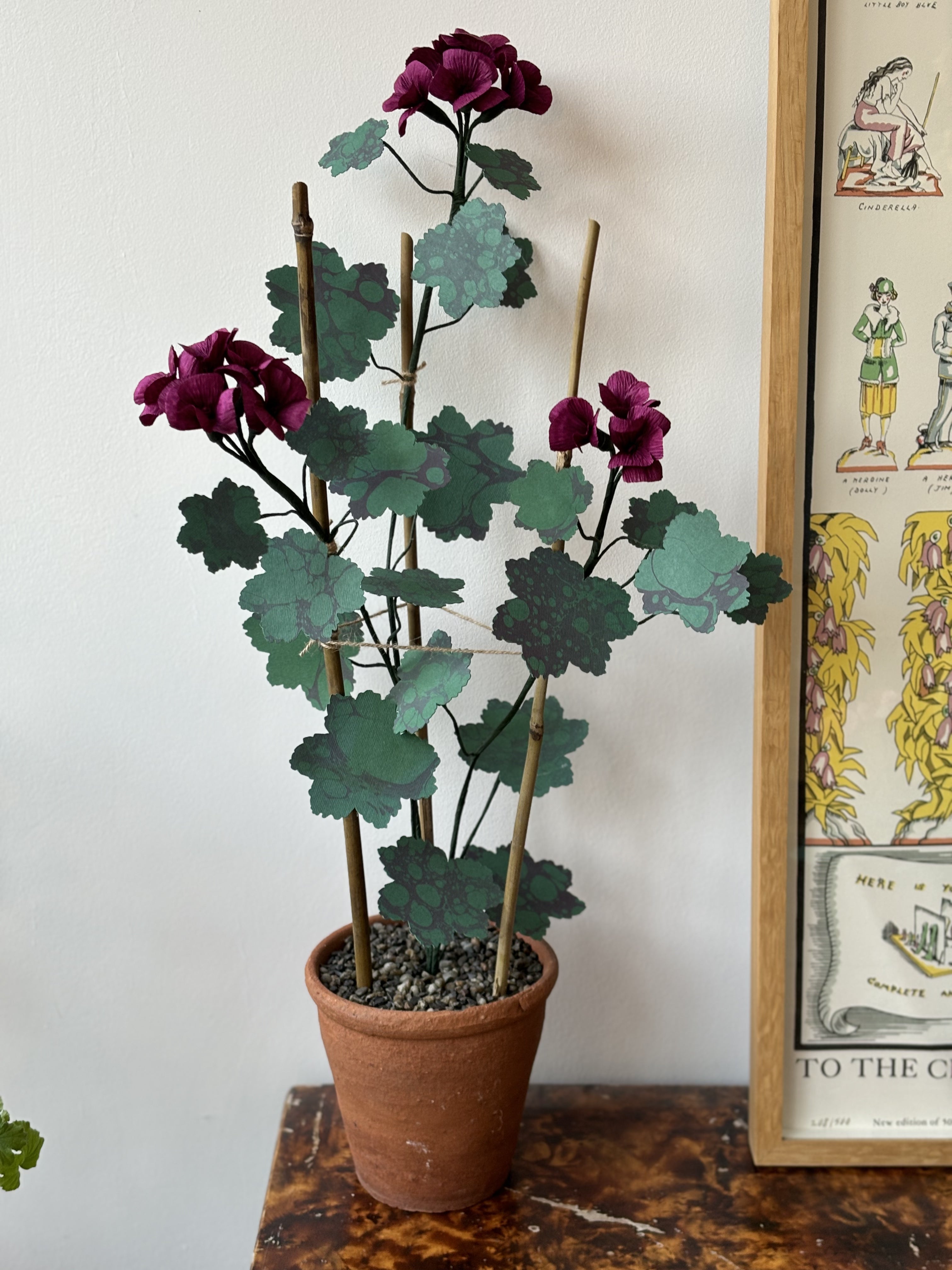 Paper Geranium