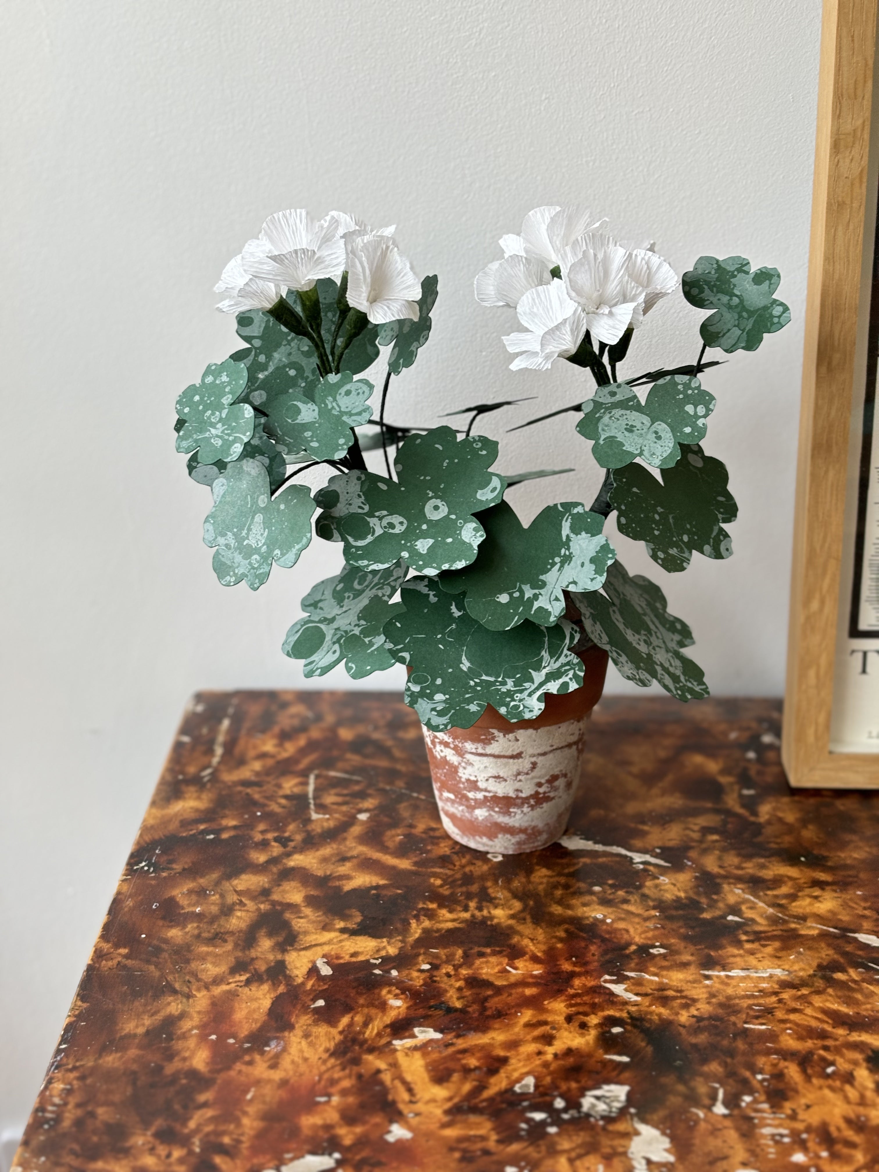 Paper Geranium