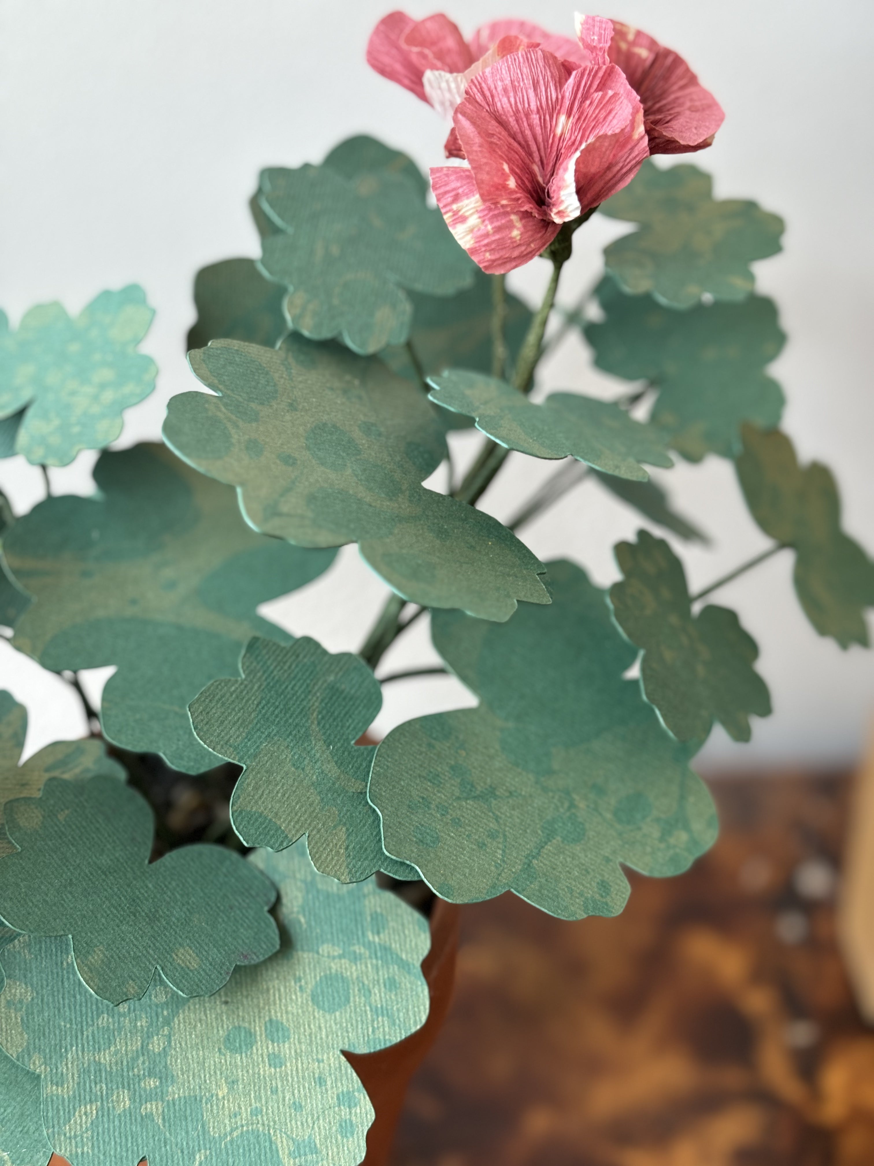 Paper Geranium