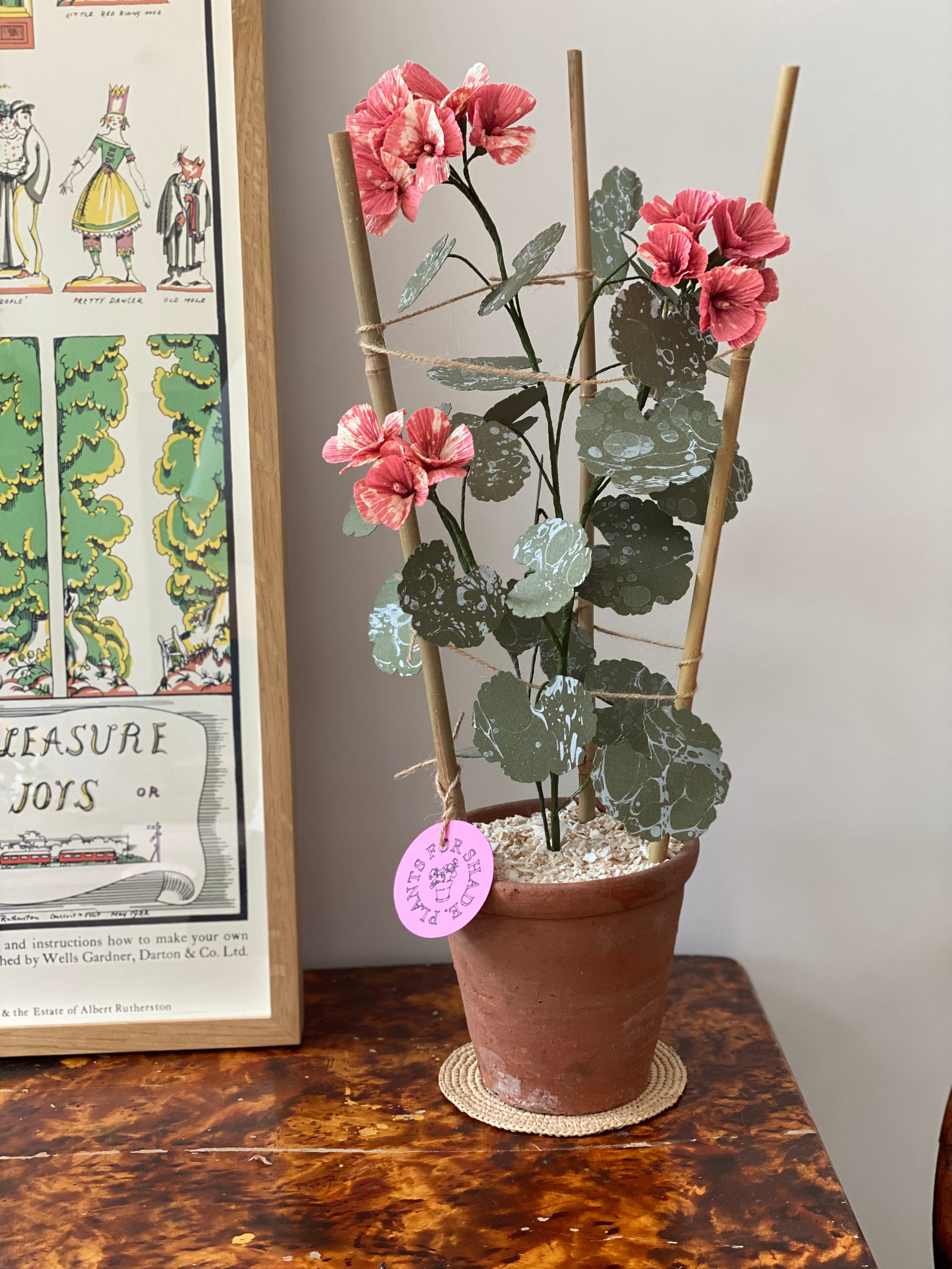 Paper Geranium