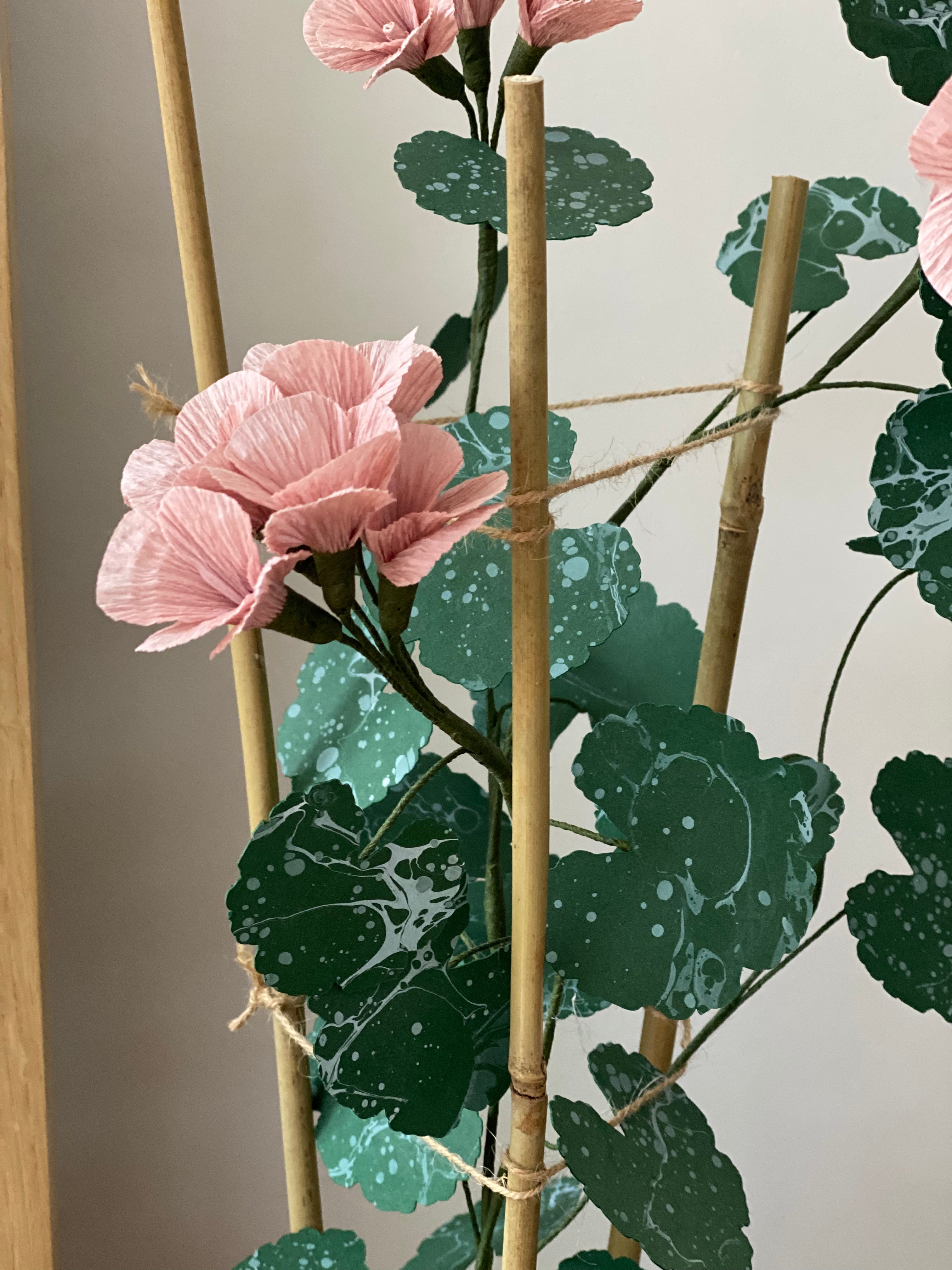 Paper Geranium