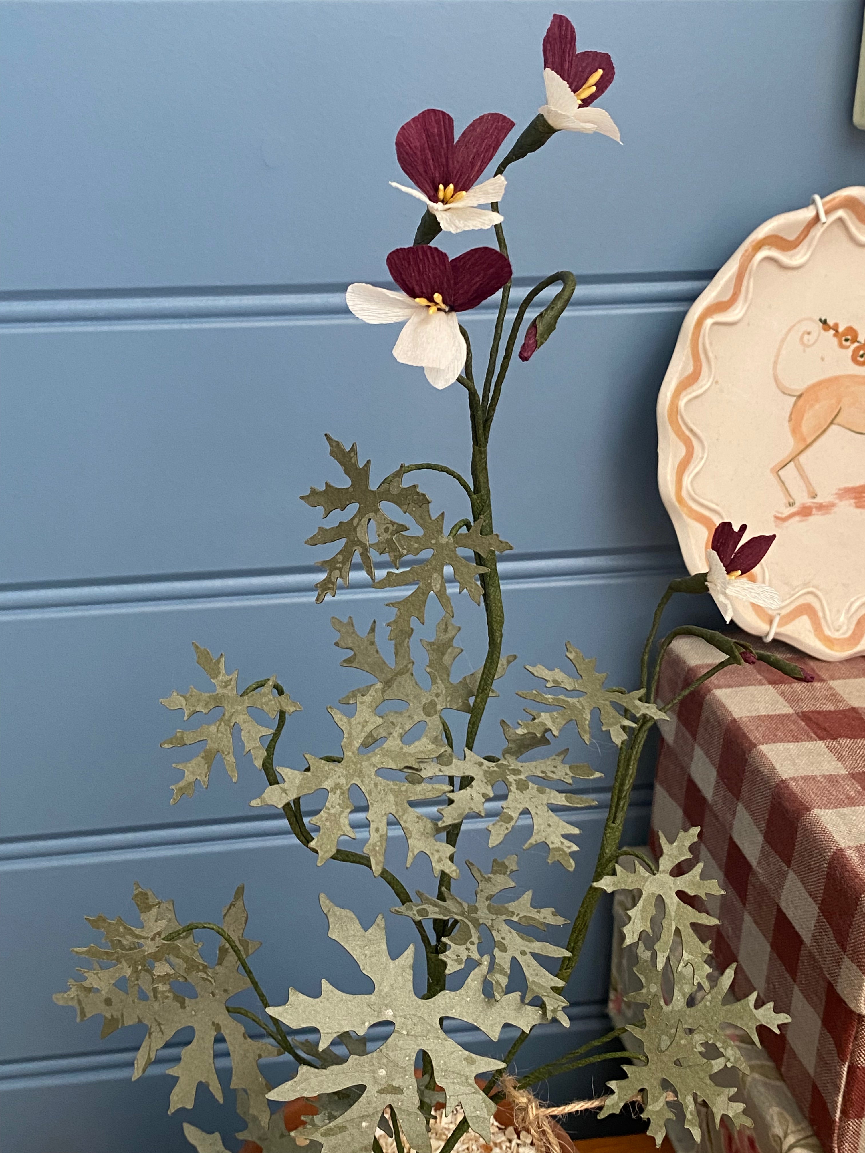 Paper Geranium