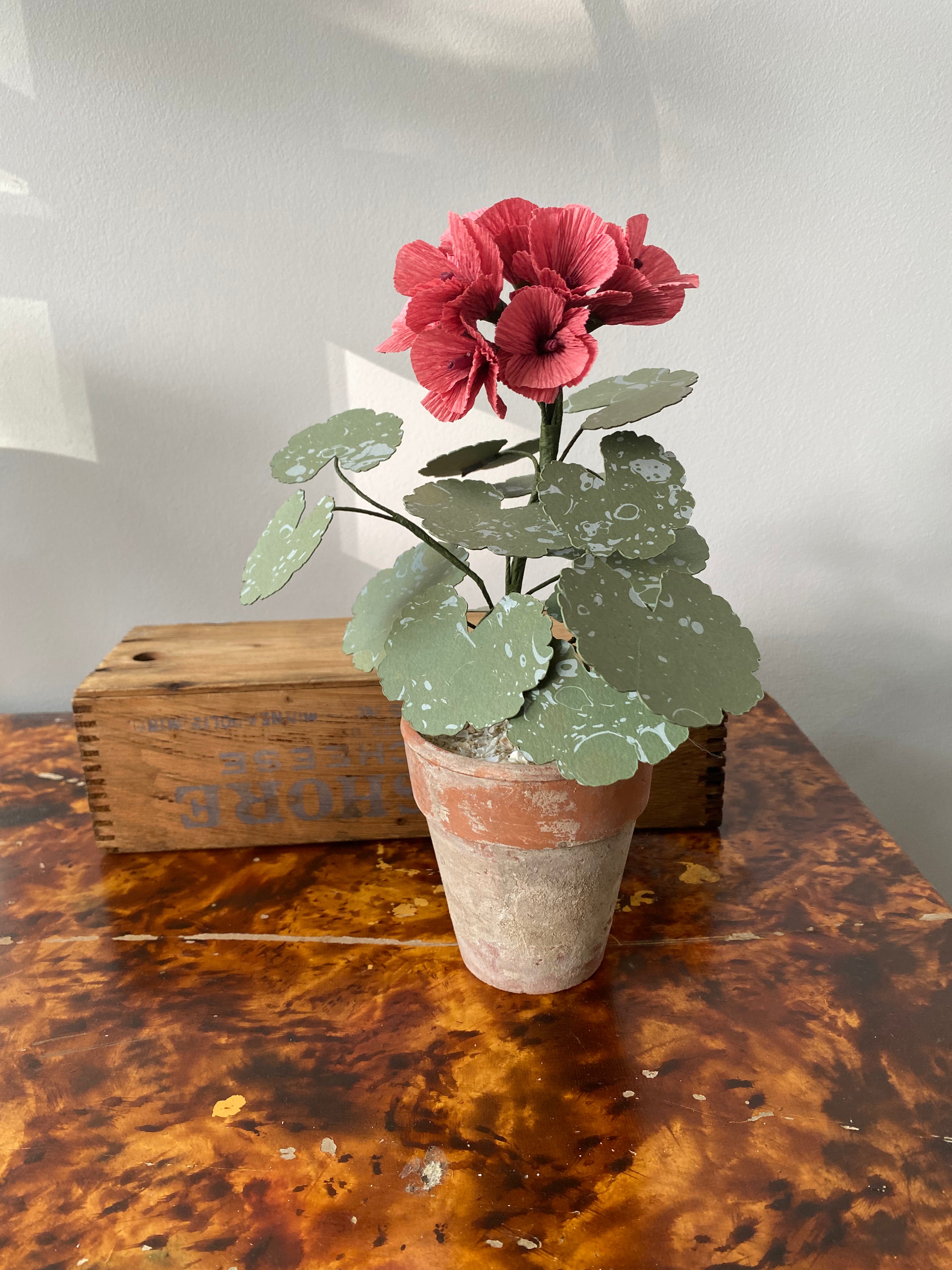 Paper Geranium