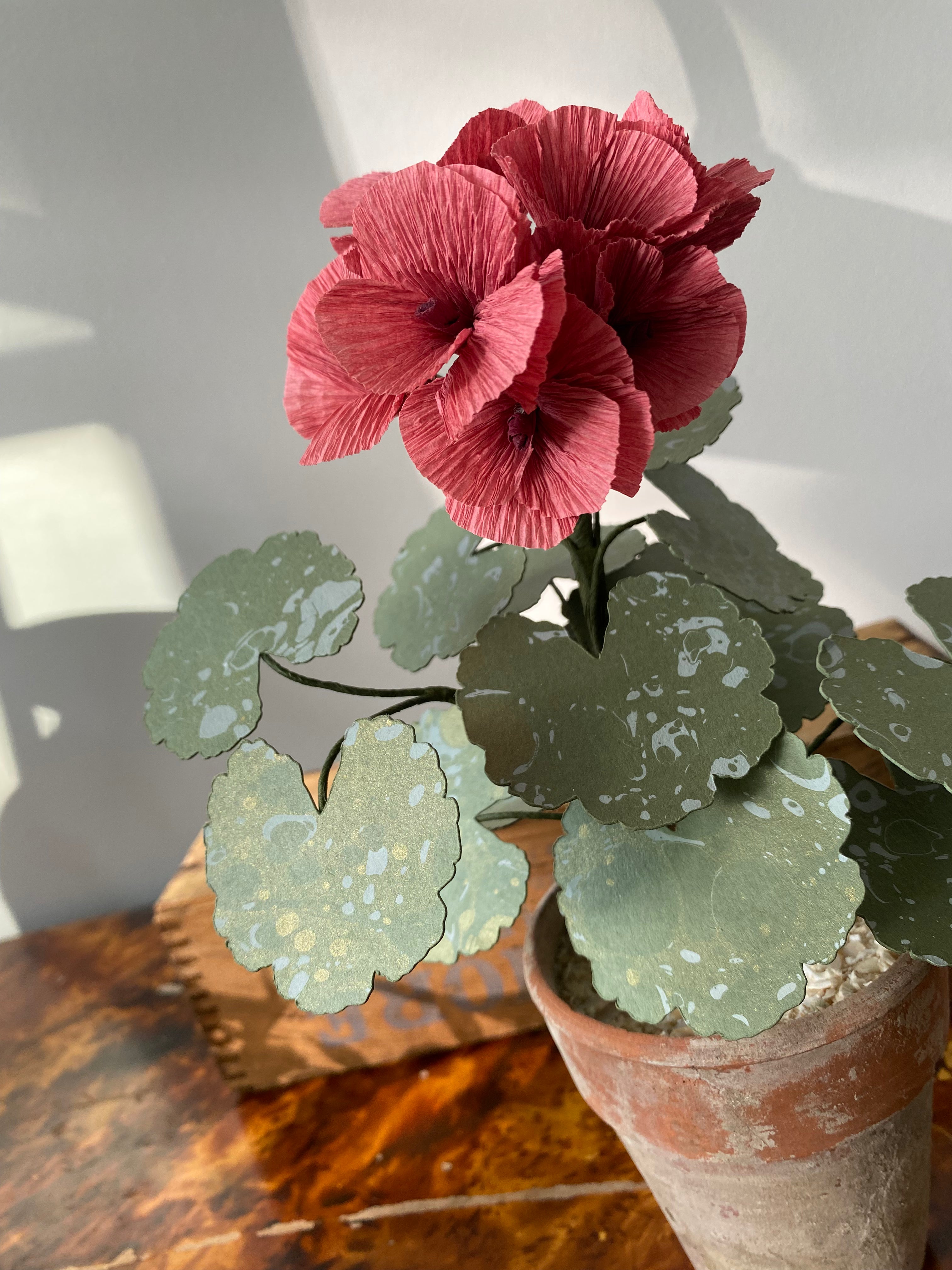 Paper Geranium