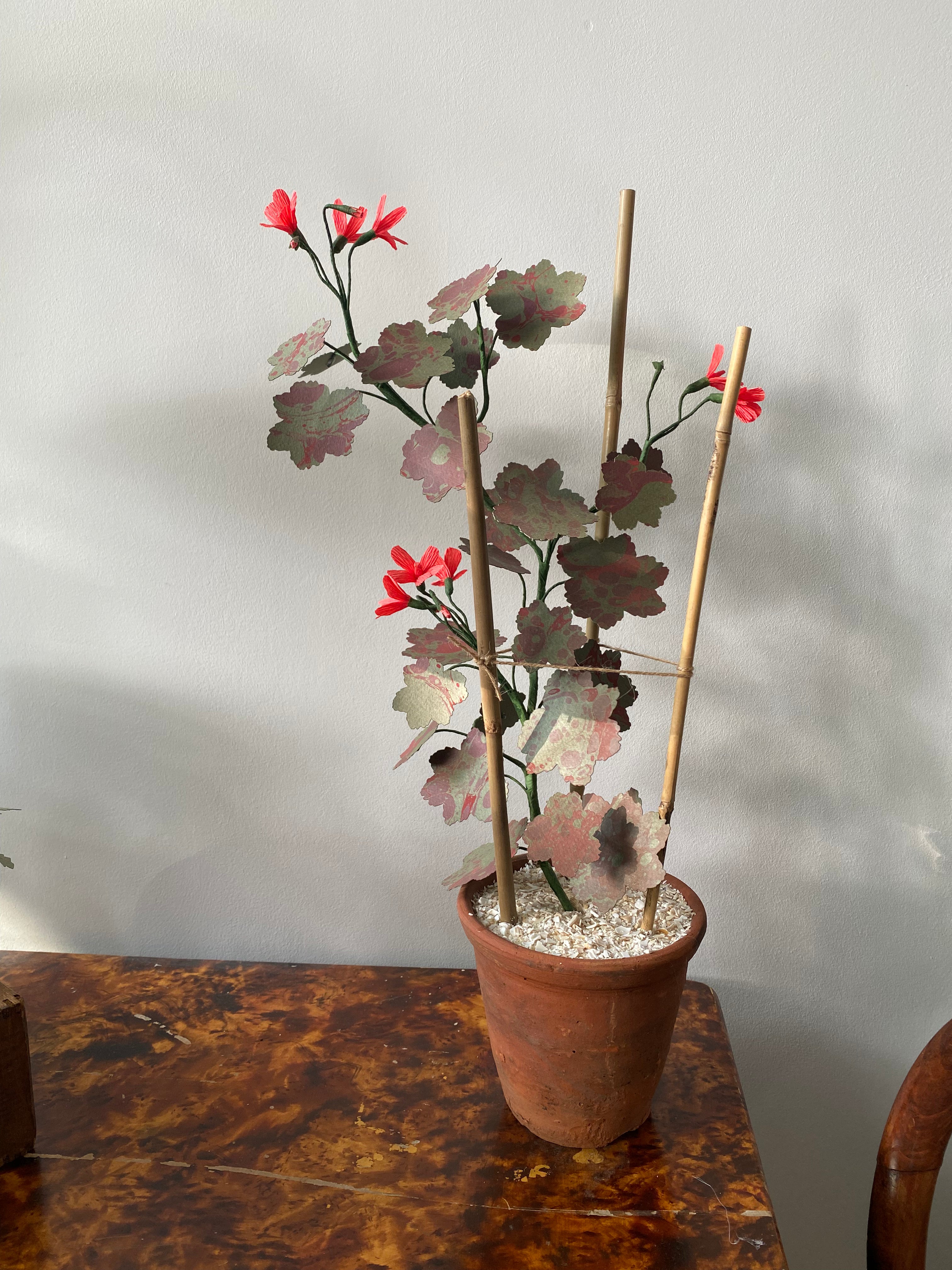 Paper Geranium