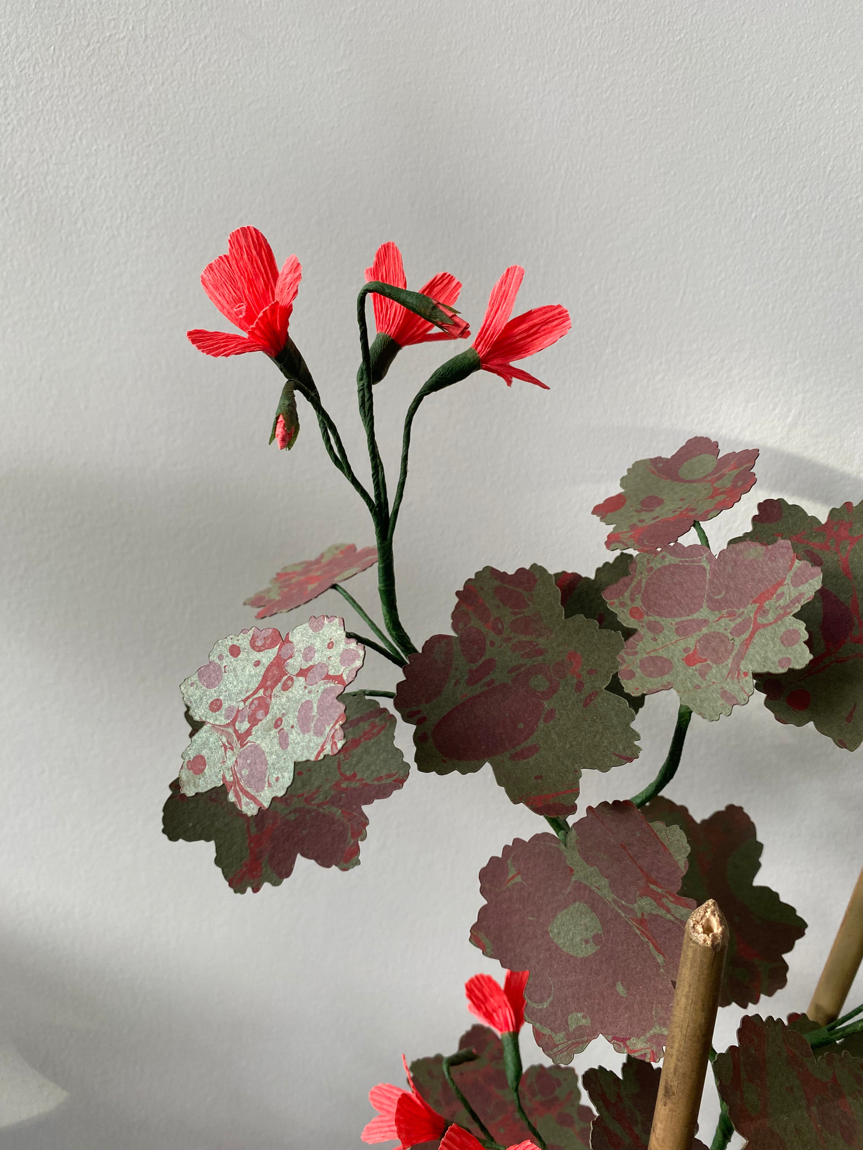 Paper Geranium