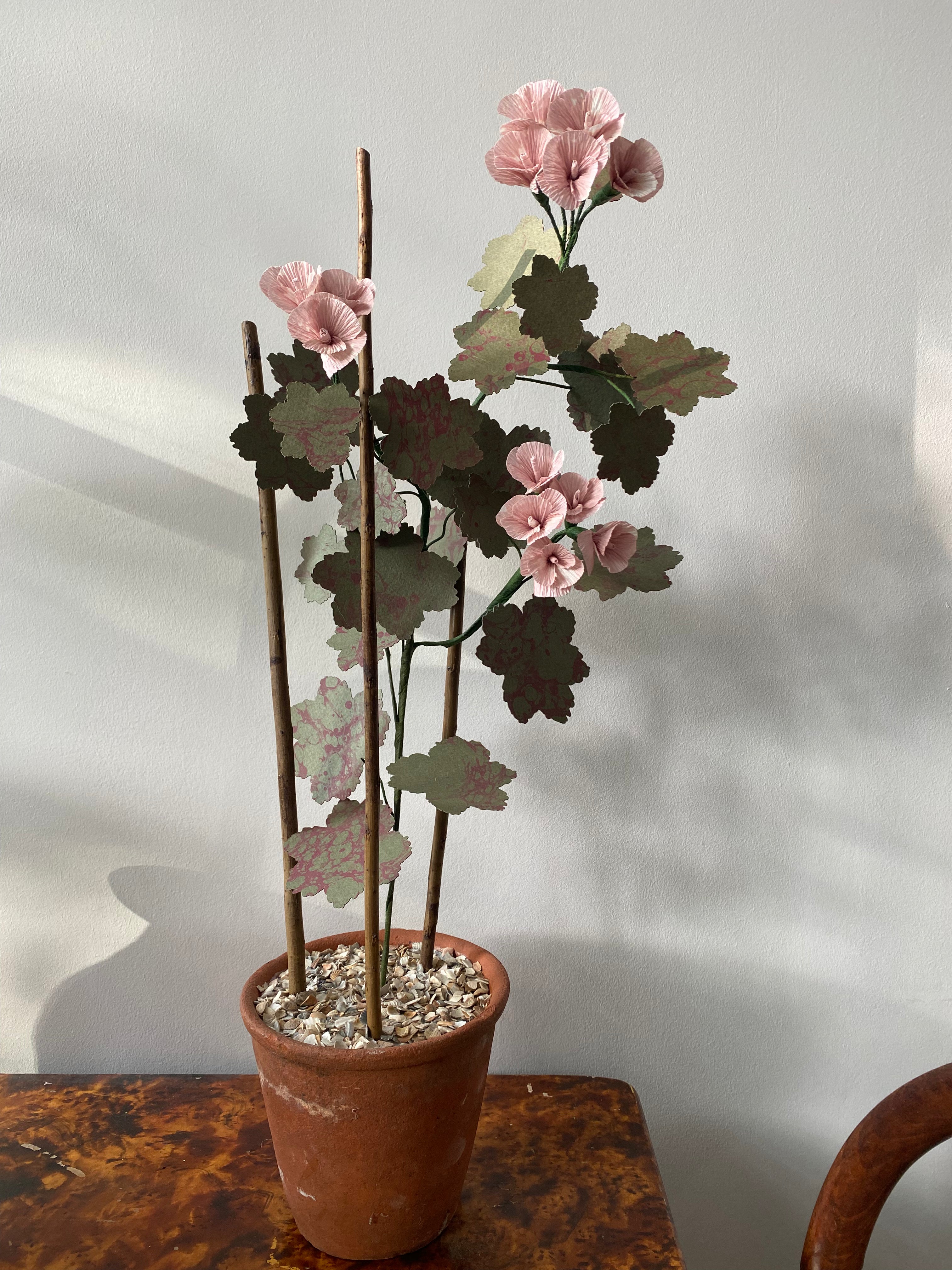 Paper Geranium
