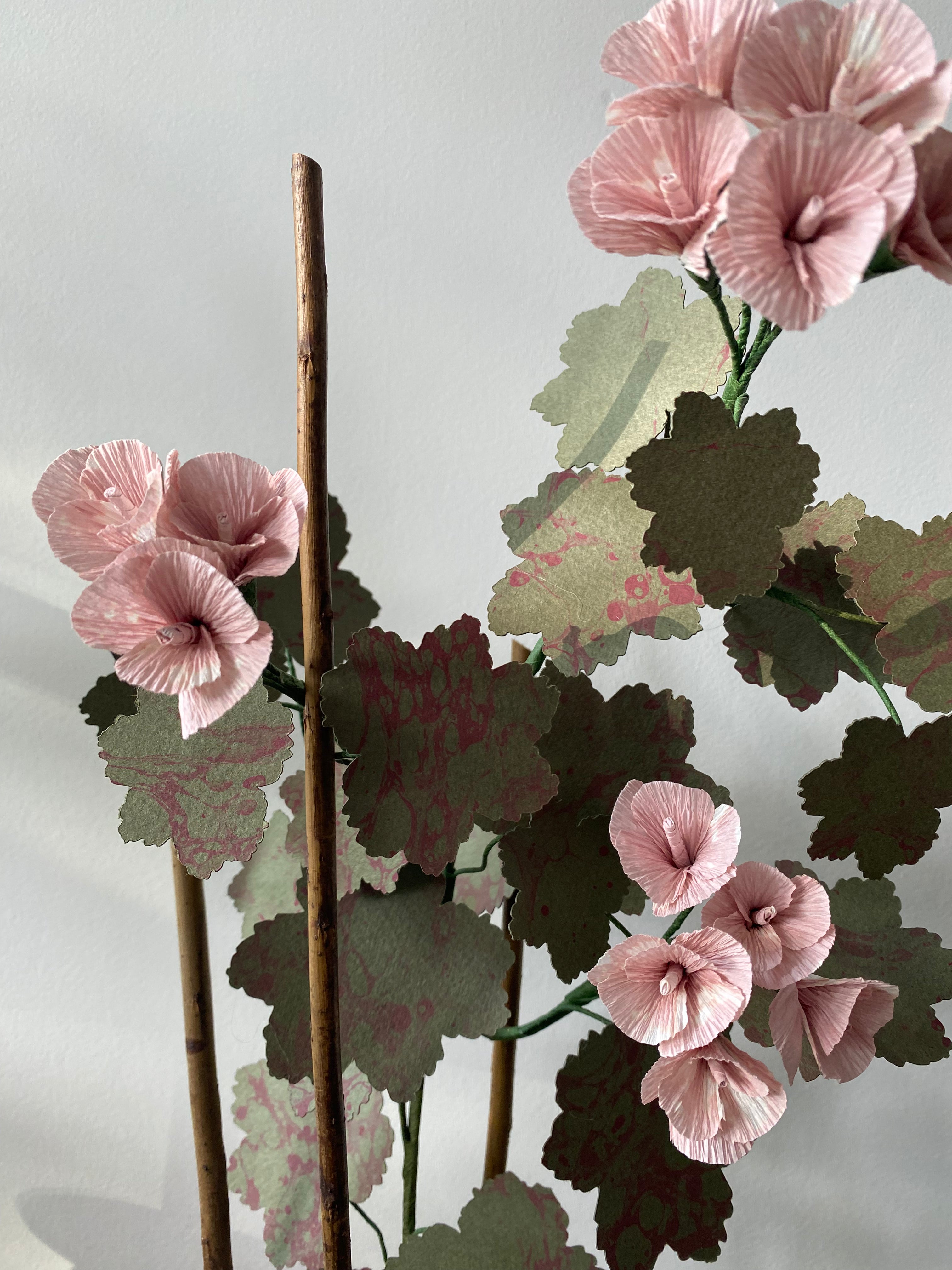 Paper Geranium