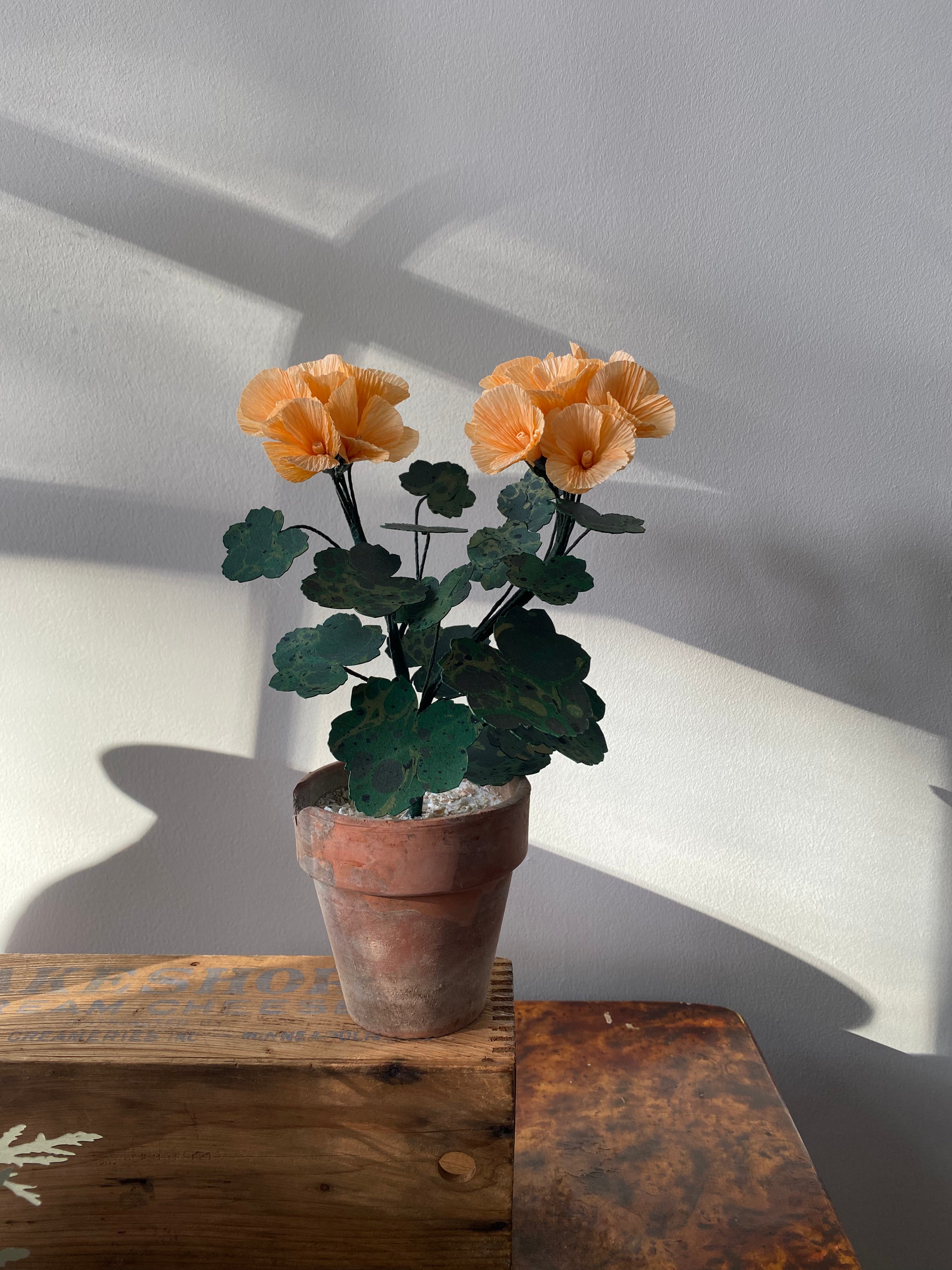Paper Geranium