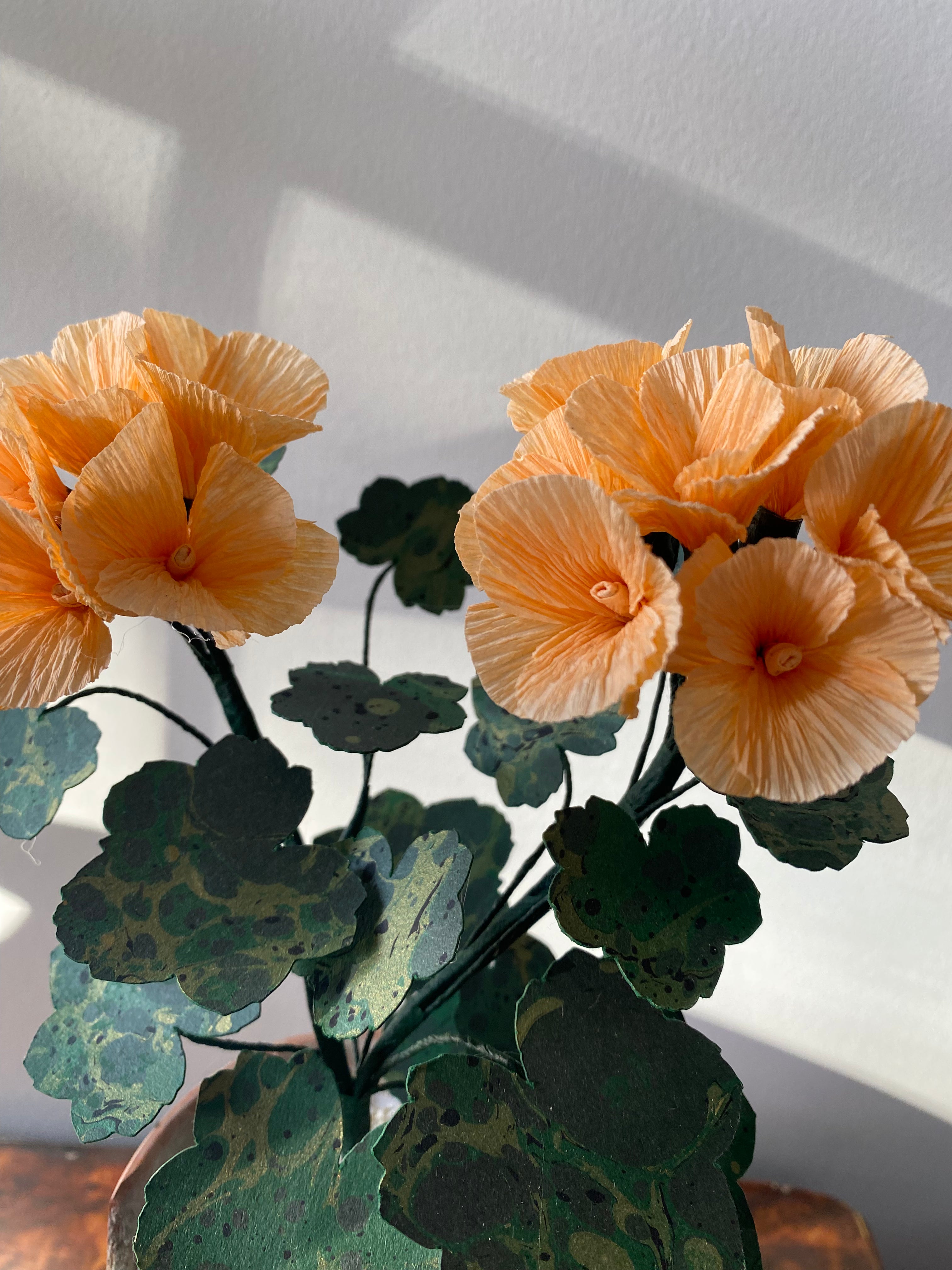 Paper Geranium