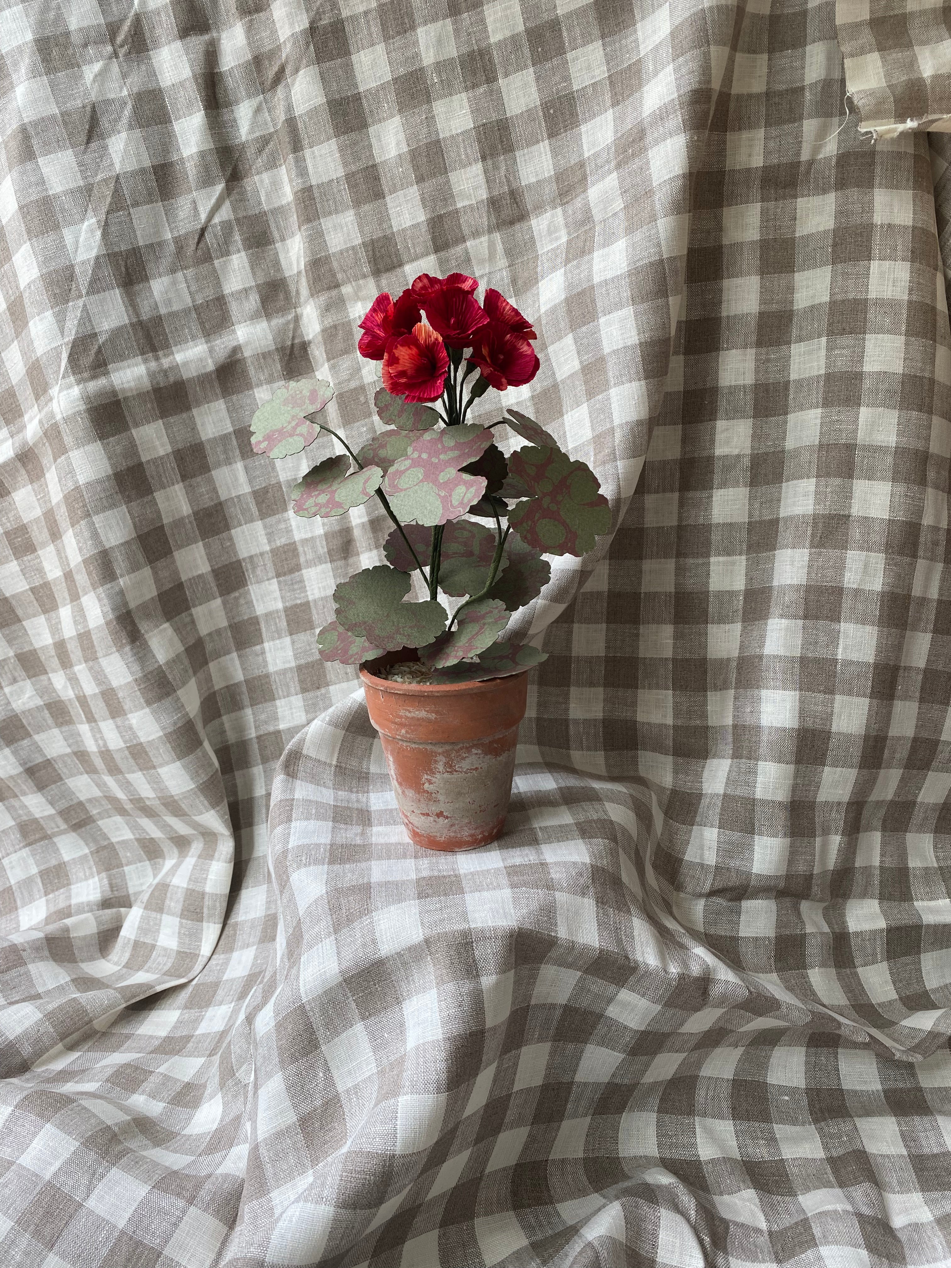 Paper Geranium