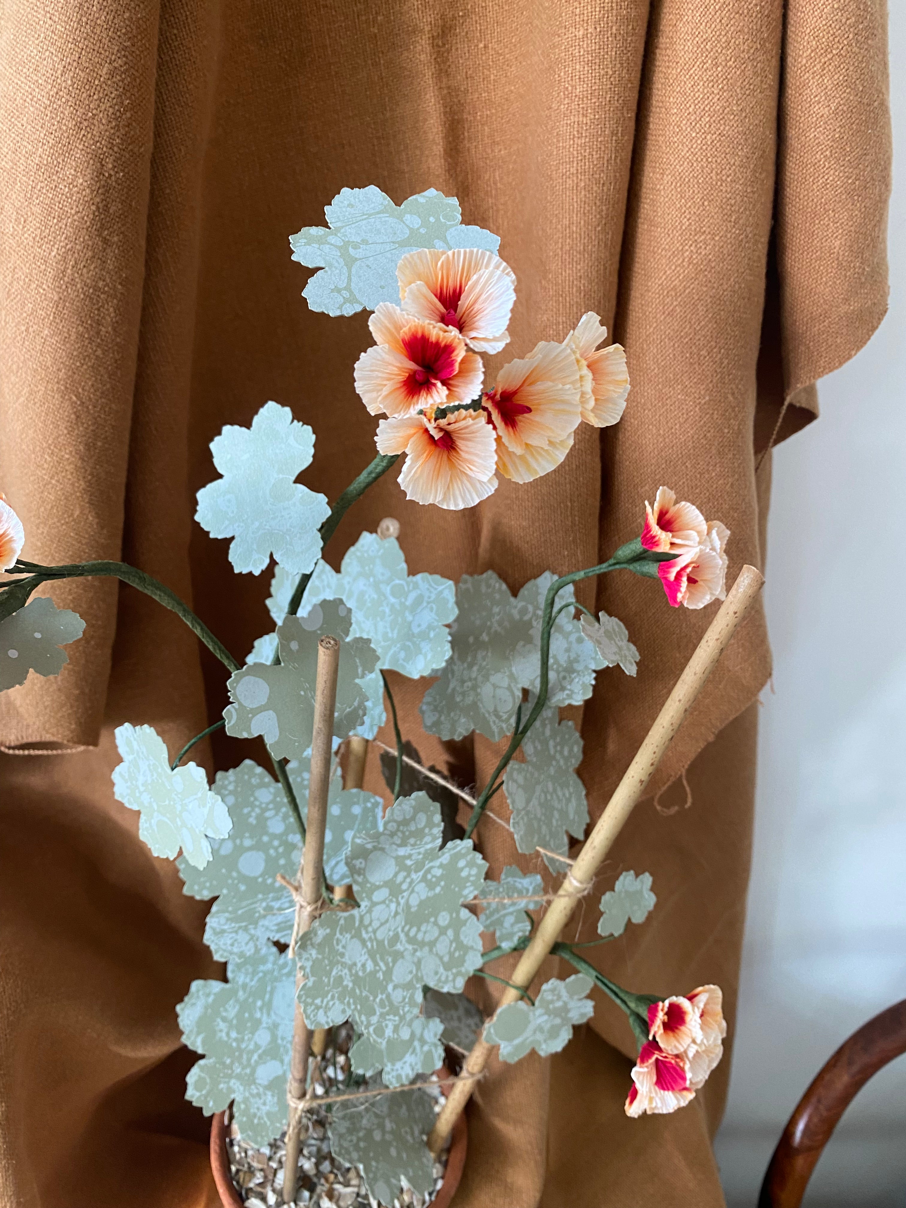 Paper Geranium