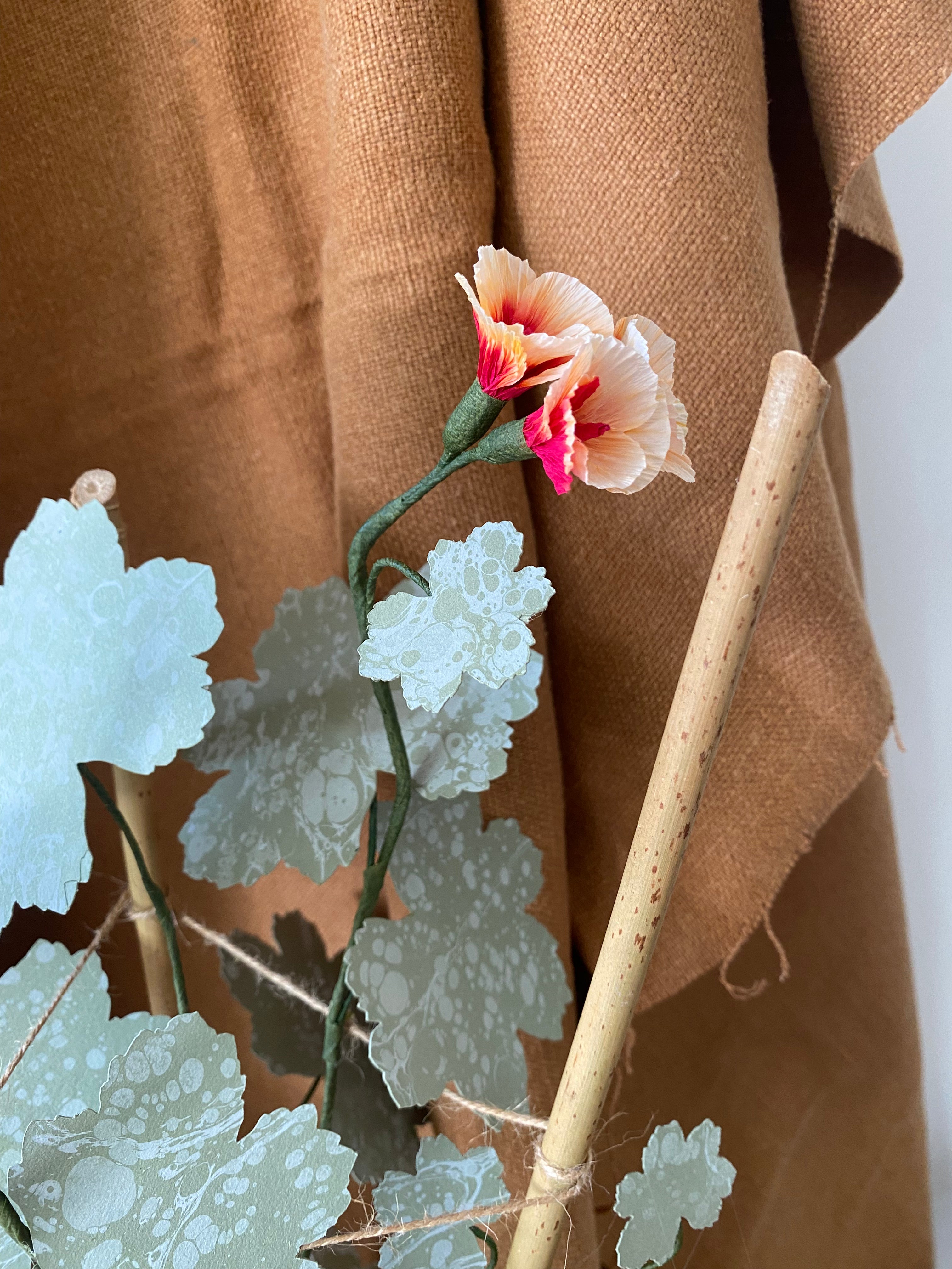 Paper Geranium