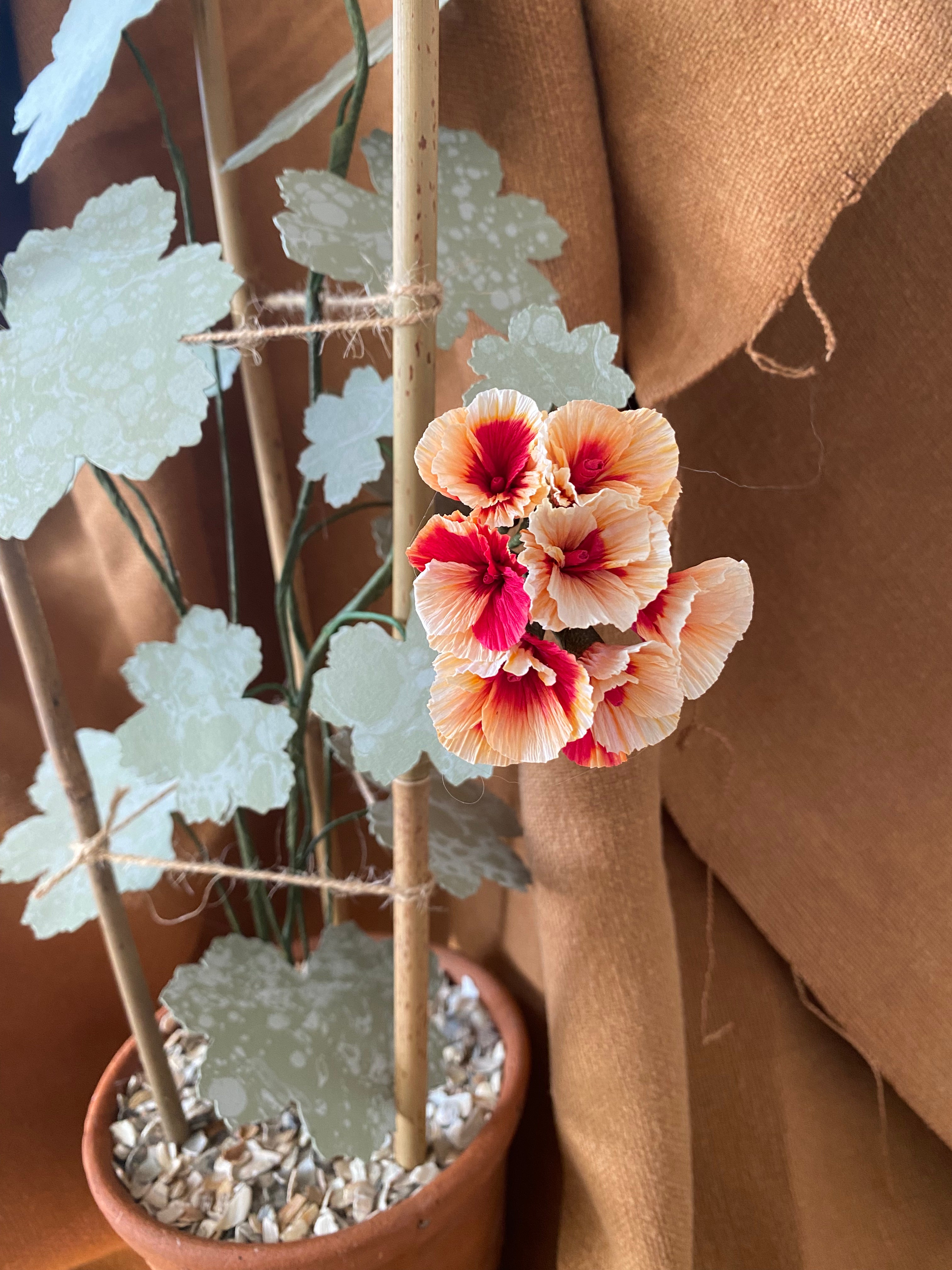 Paper Geranium