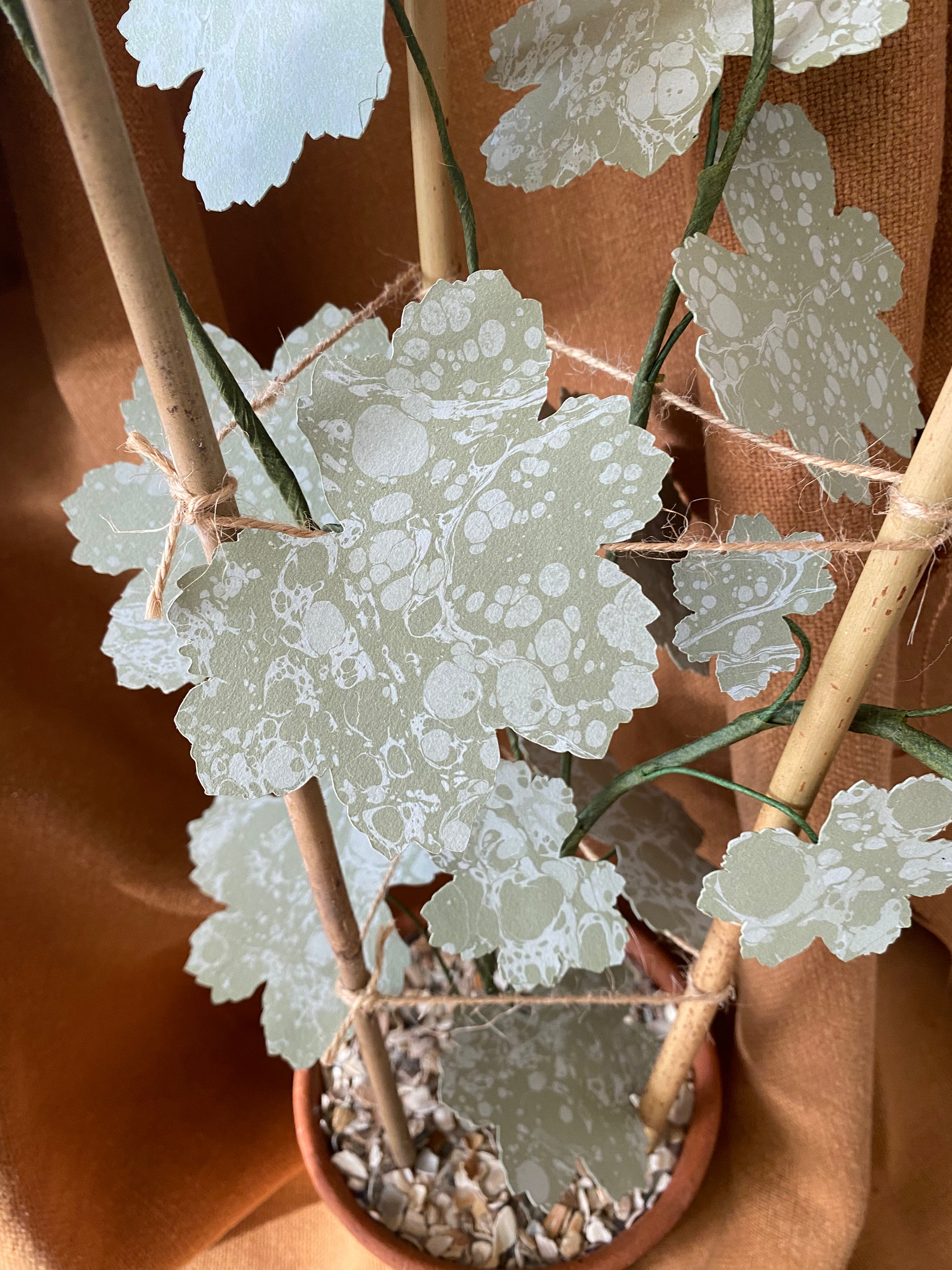 Paper Geranium