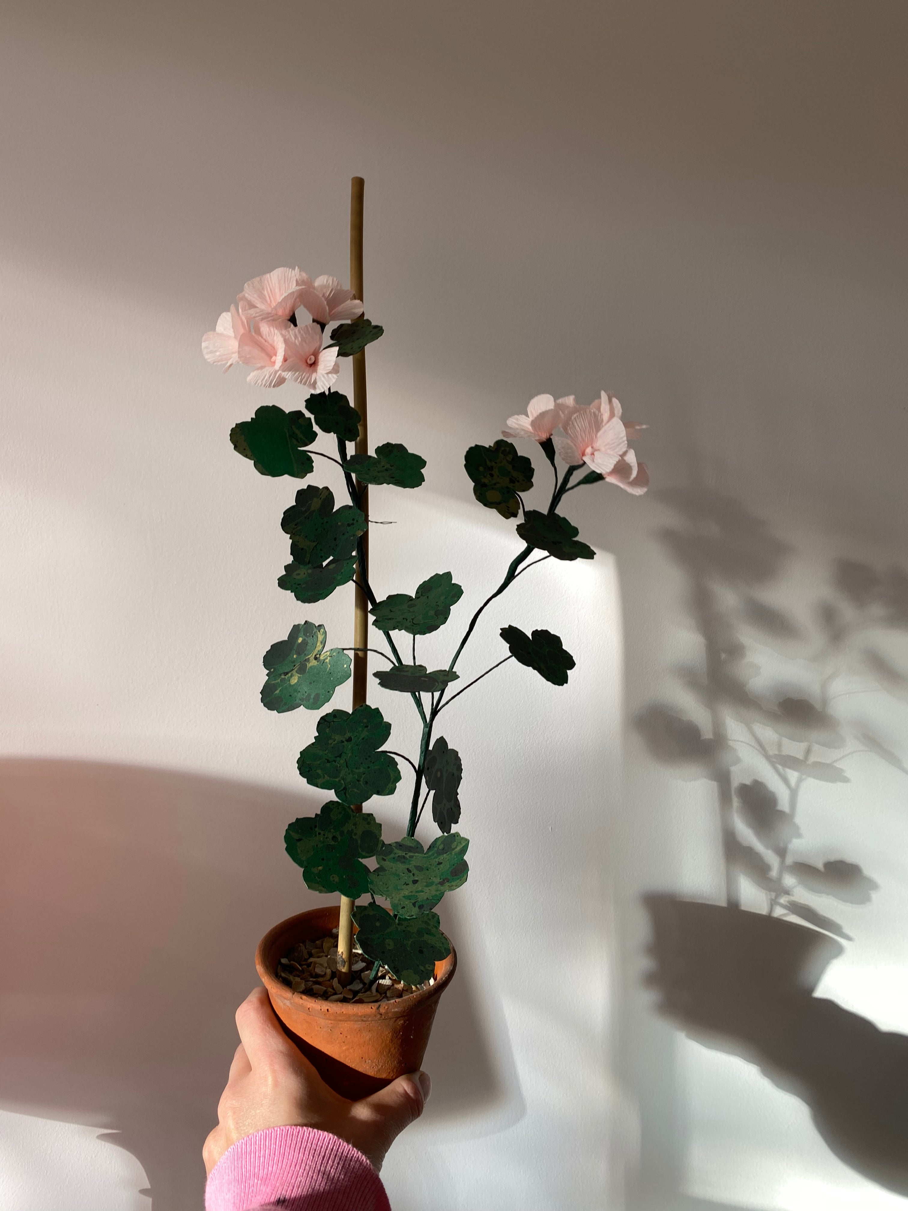 Paper Geranium