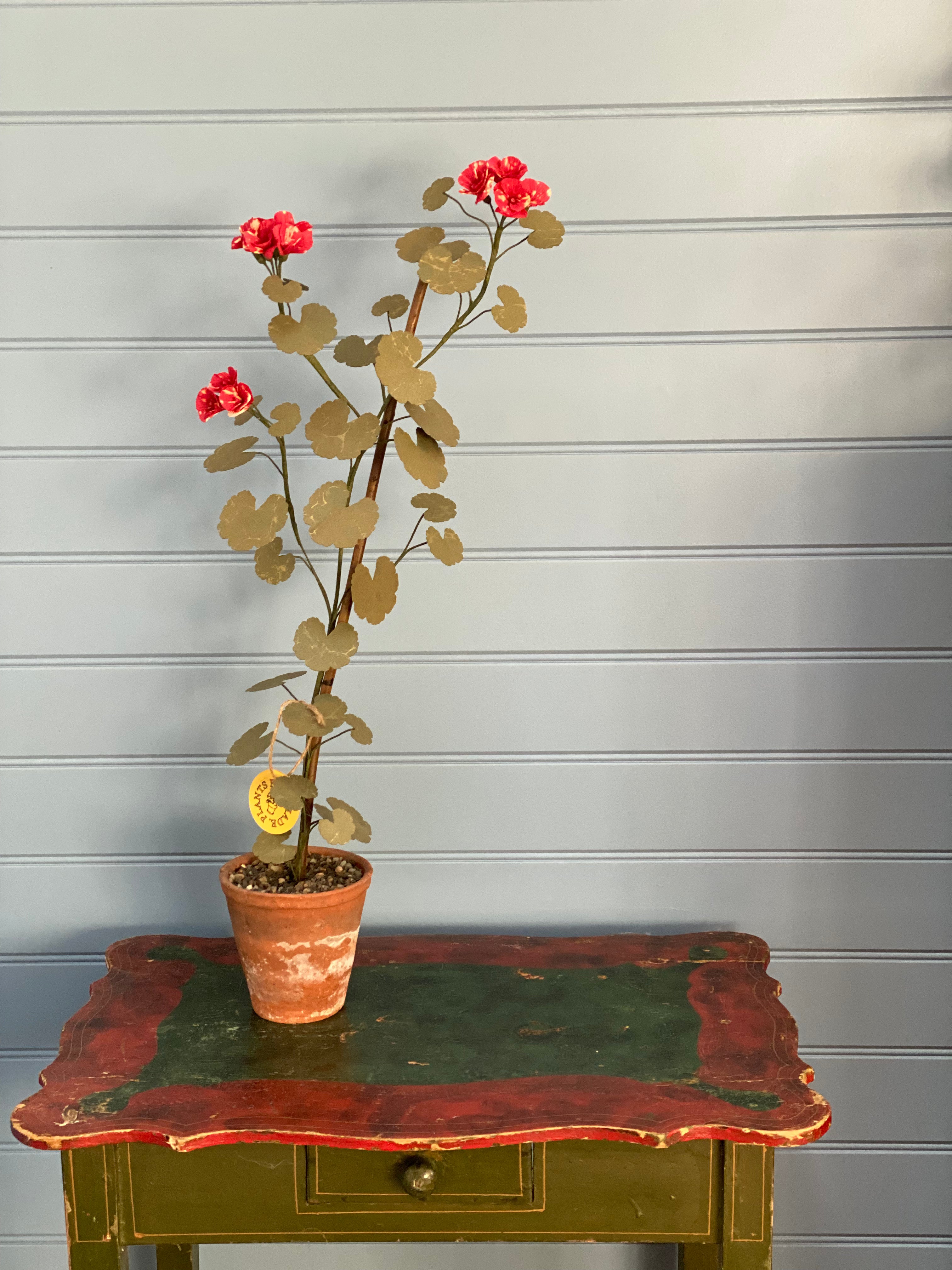 Paper Geranium (IV) *COLLECTION ONLY*