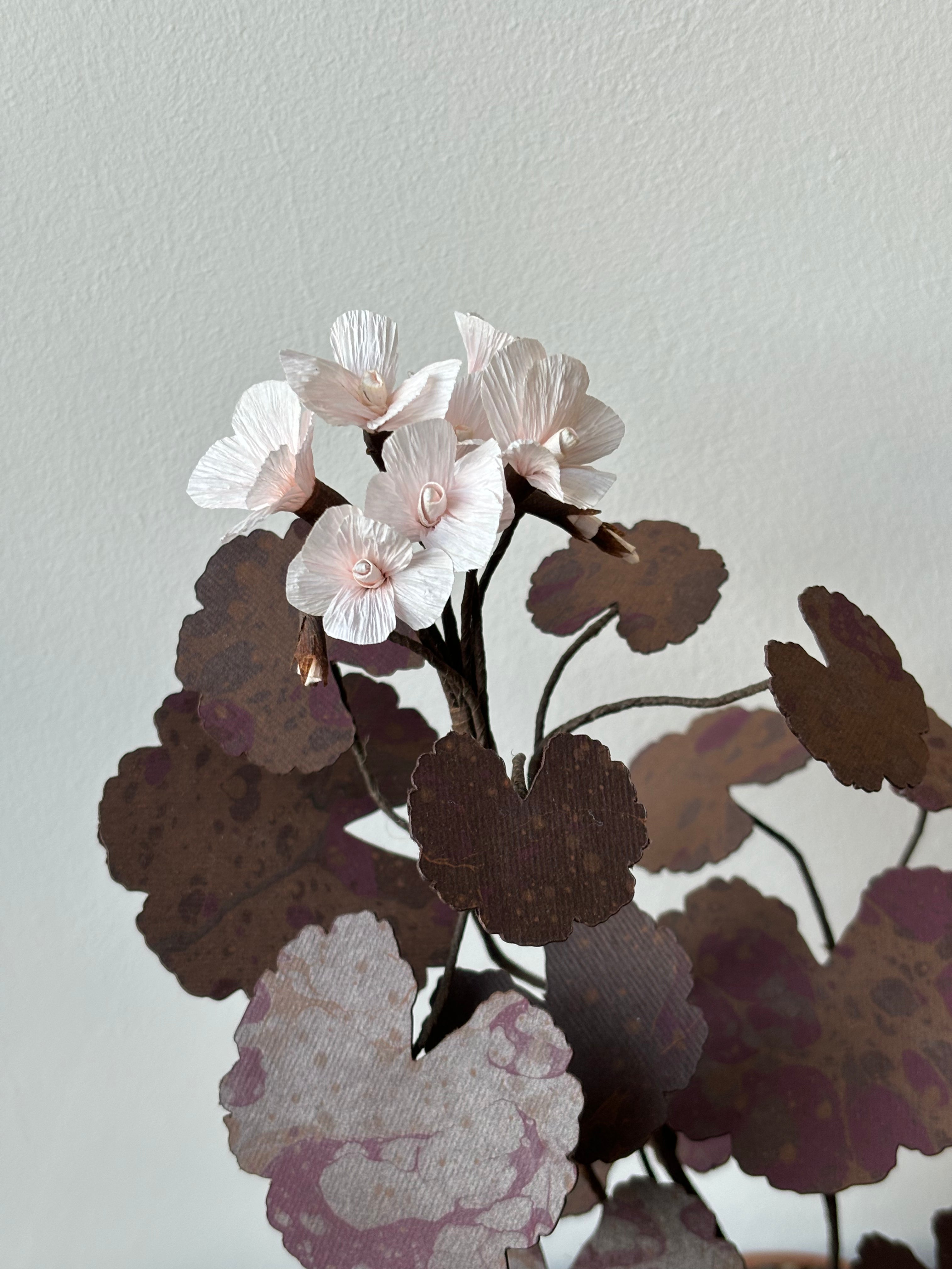 Paper Geranium