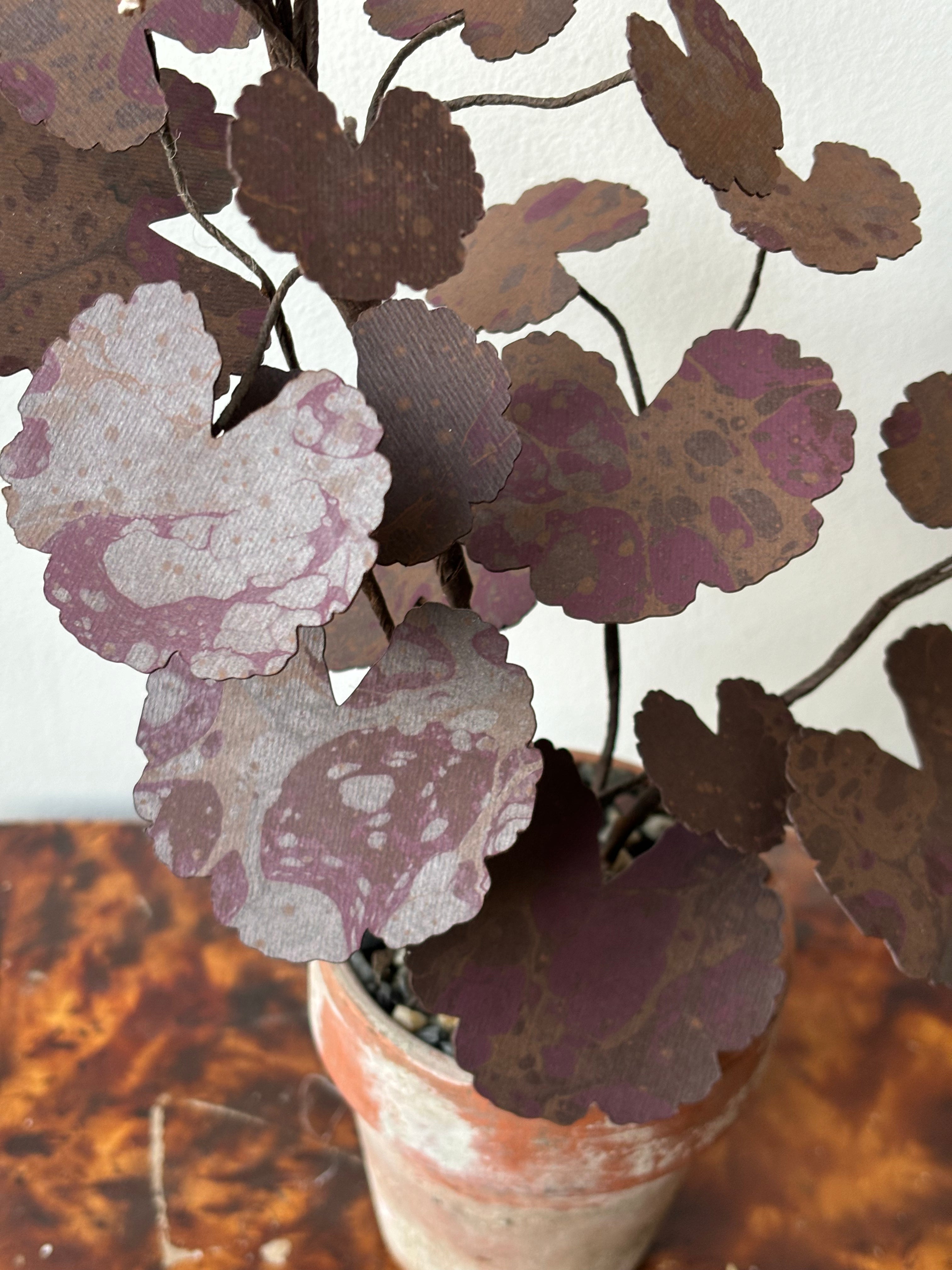 Paper Geranium