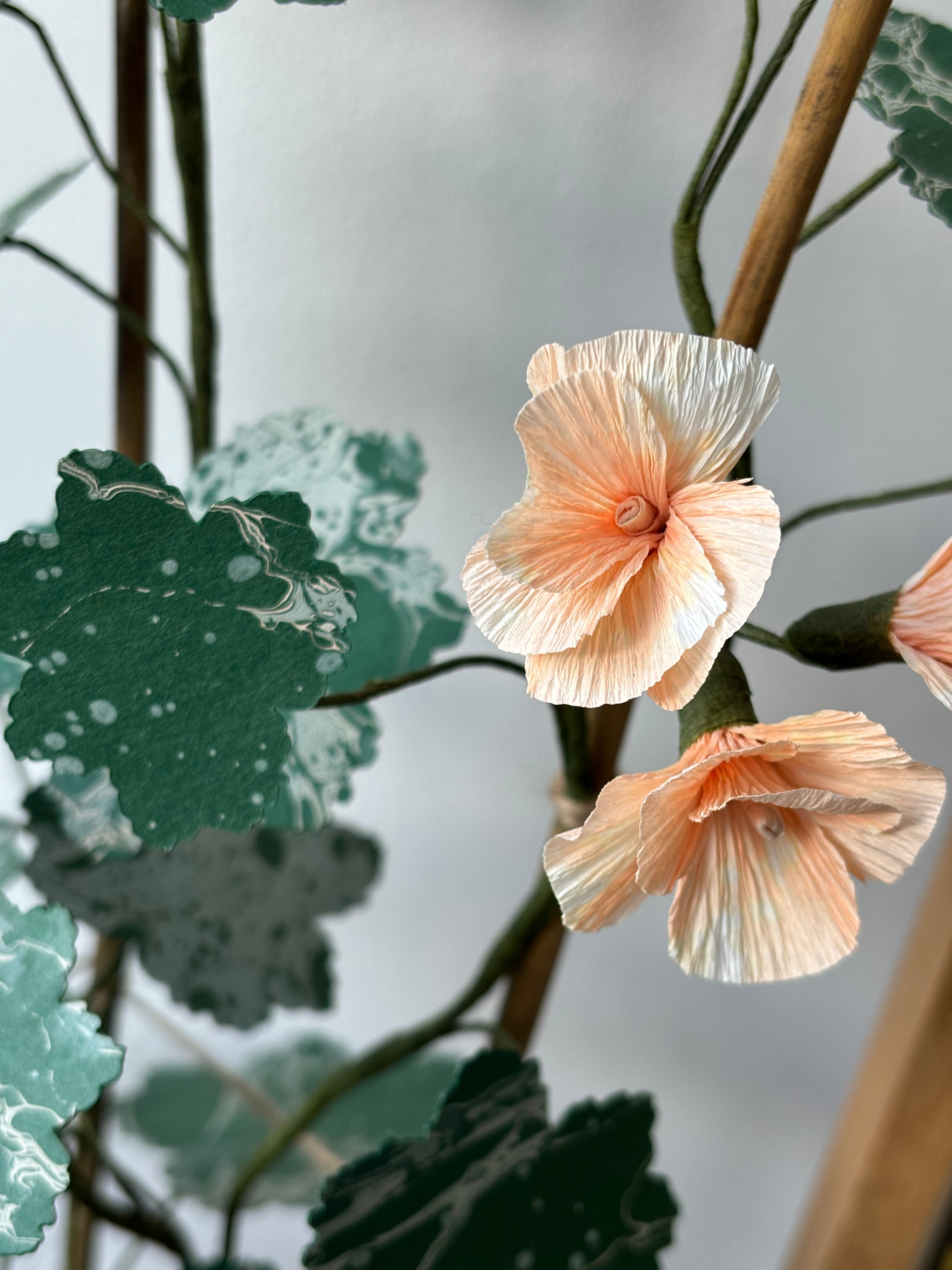 Paper Geranium