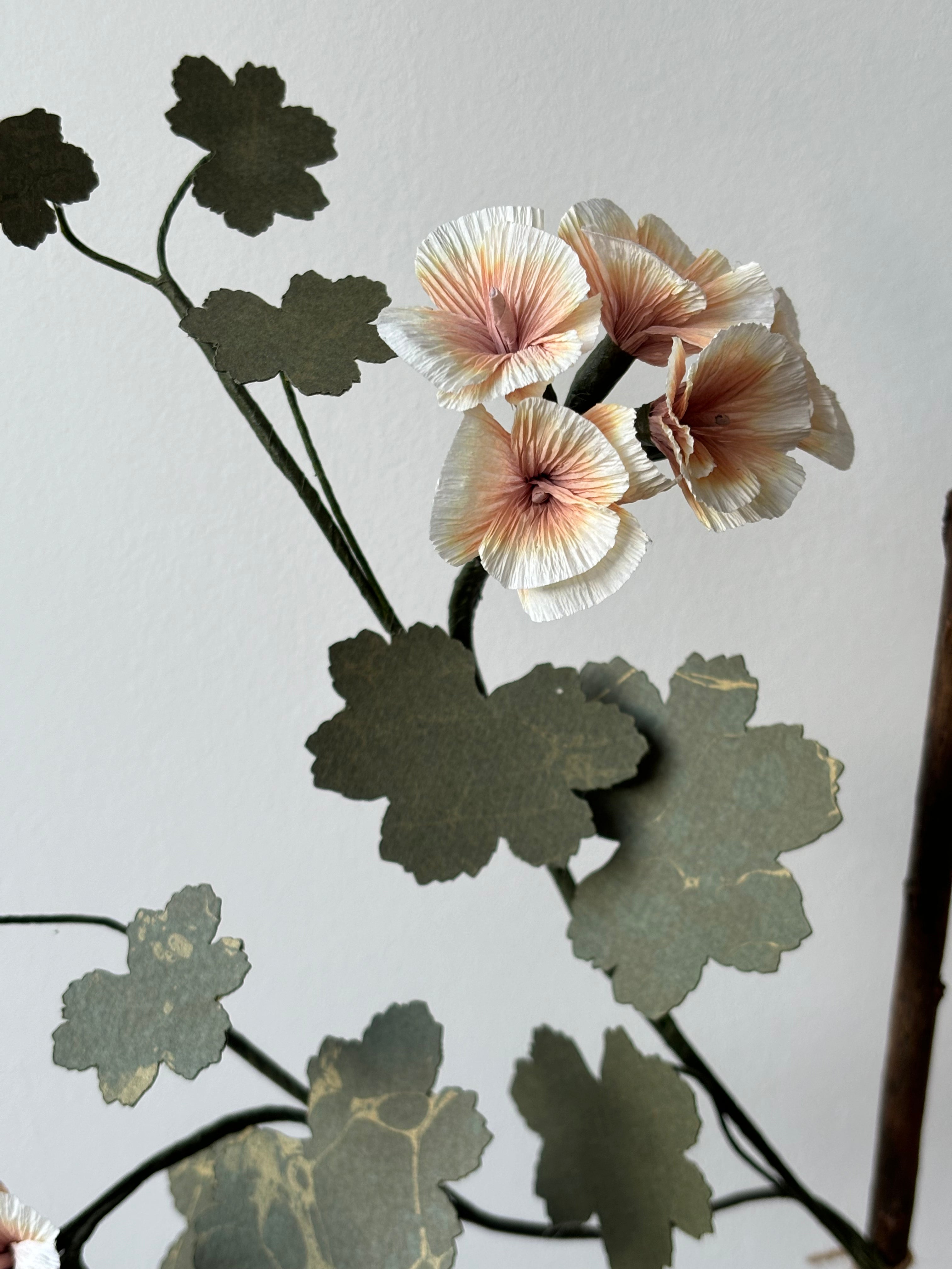 Paper Geranium