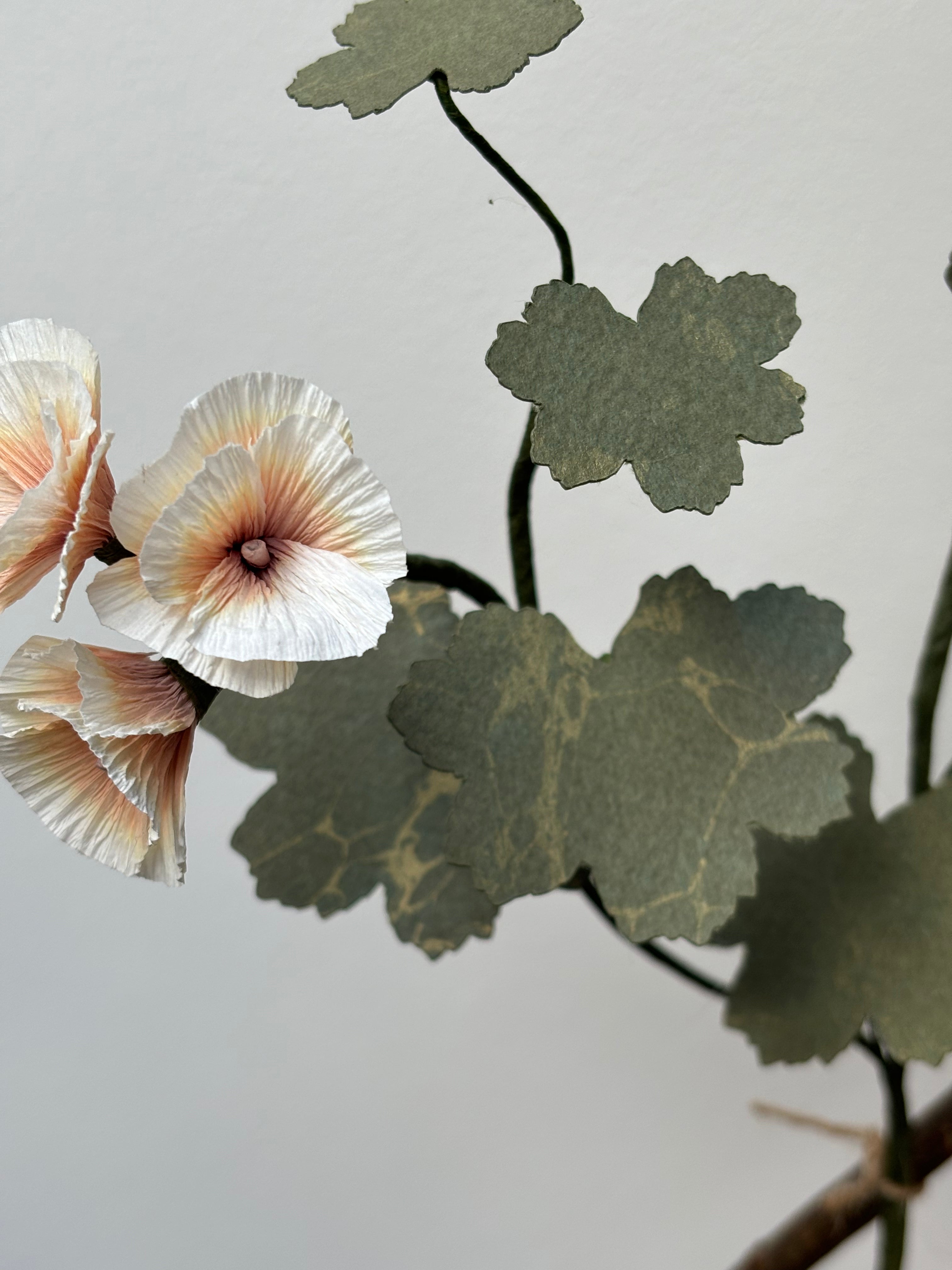 Paper Geranium
