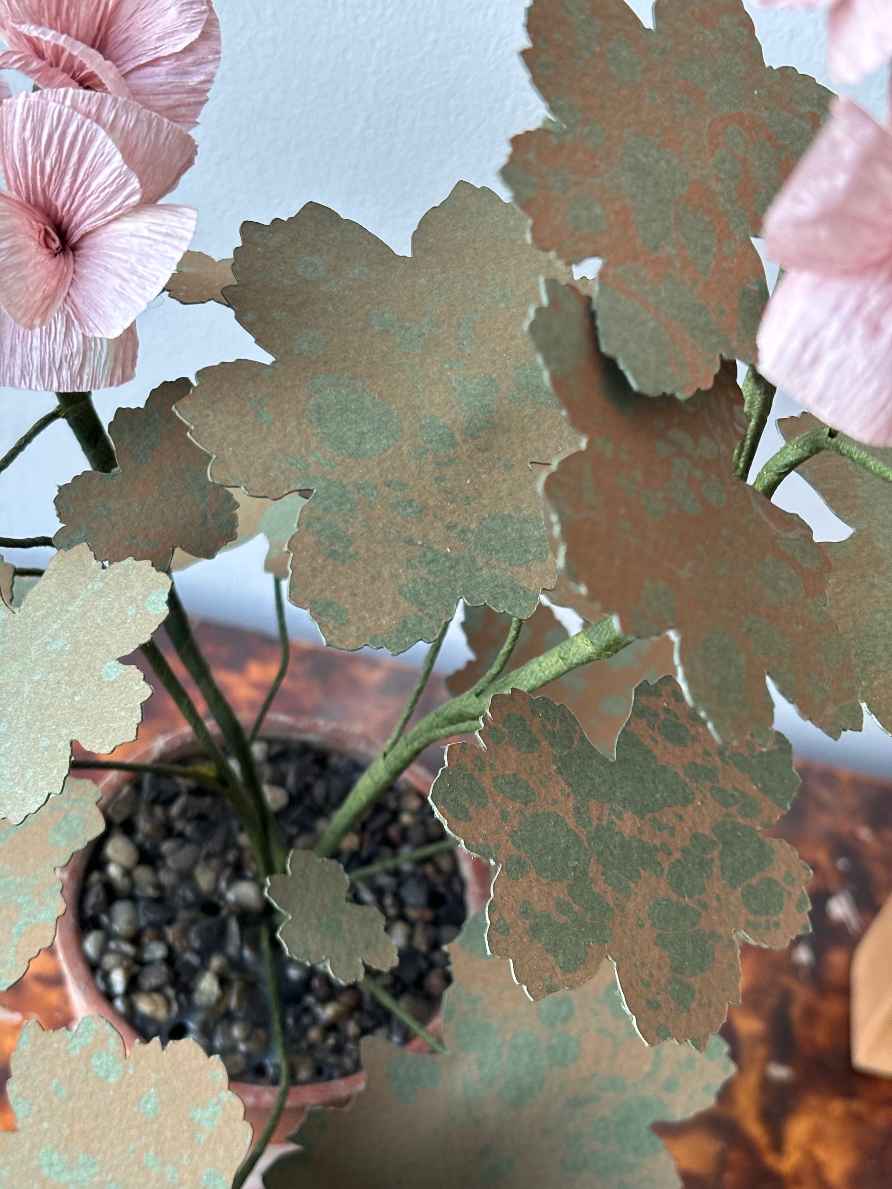 Paper Geranium