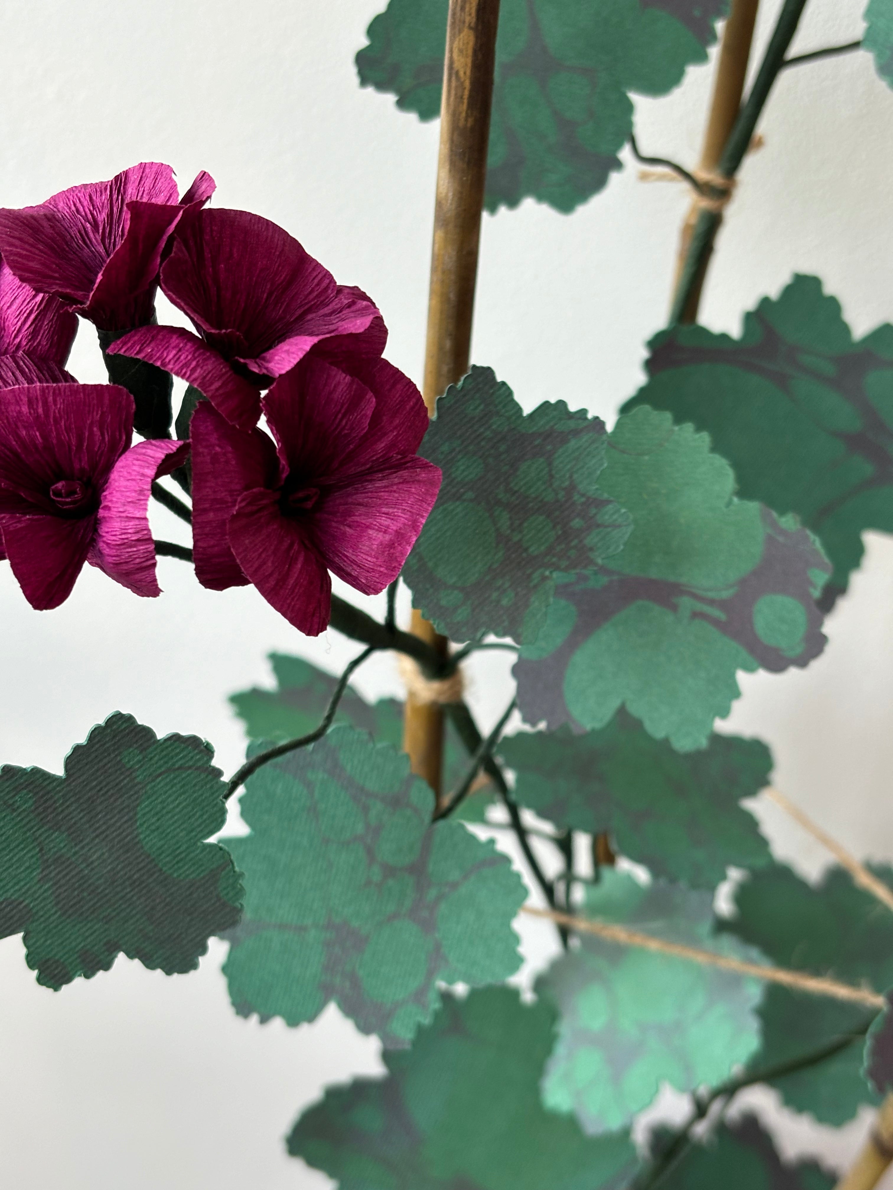 Paper Geranium