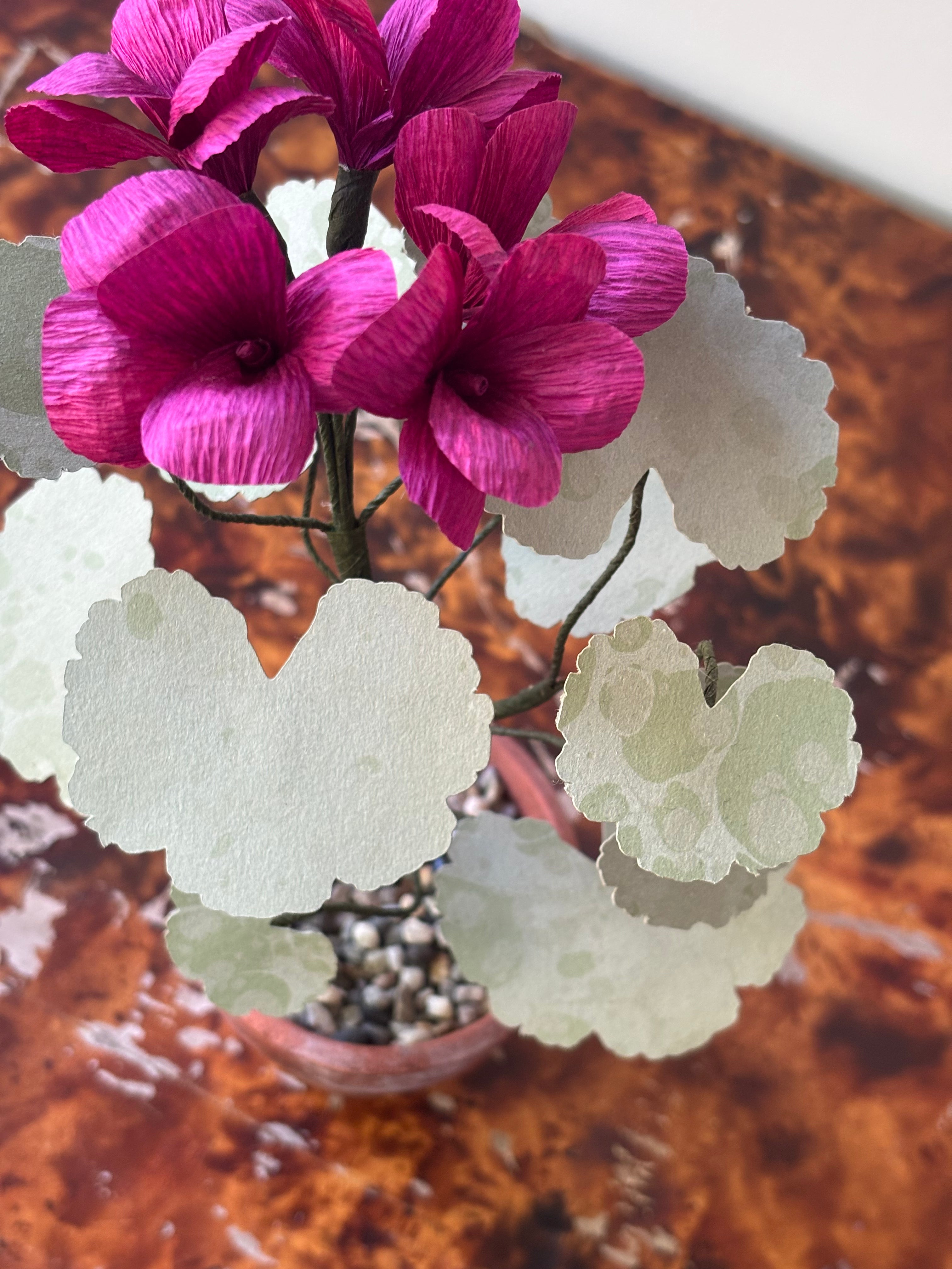 Paper Geranium